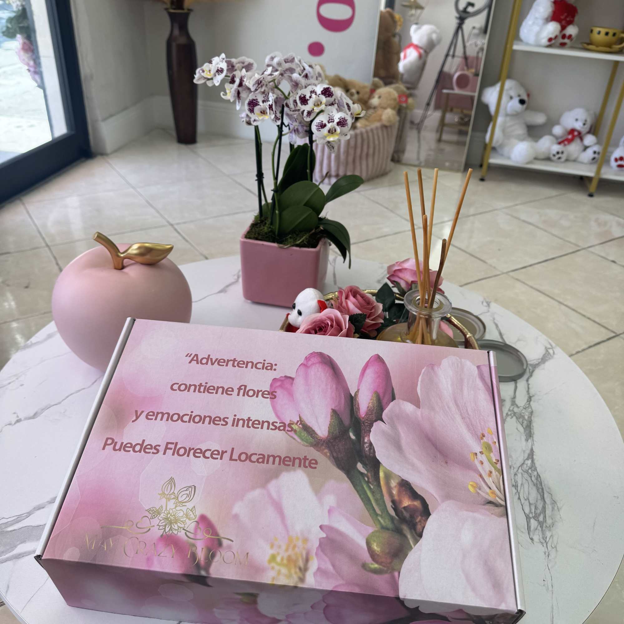 Pink orchid plant in a square pot beside a pink gift box