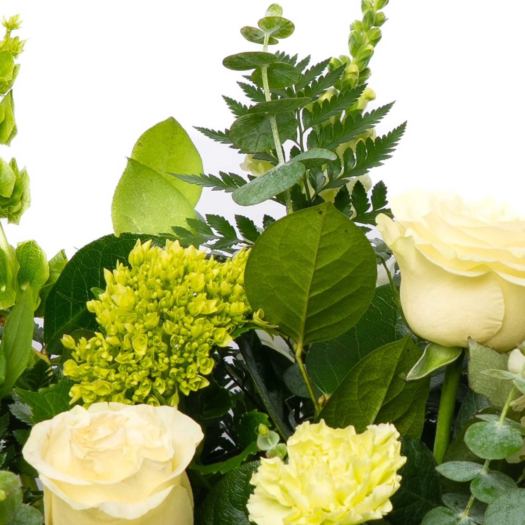 Clean and natural, this white and green palette offers a fresh, understated, photo 3 of 3