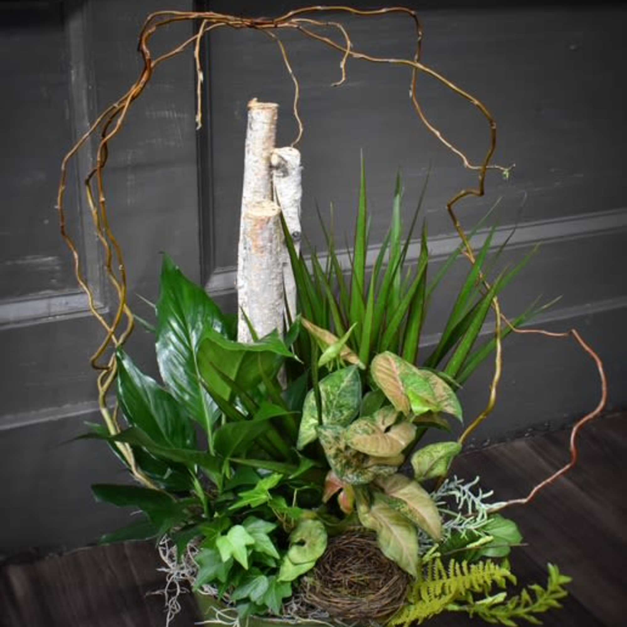 Green plant arrangement in a round container with birch branches and a twig nest