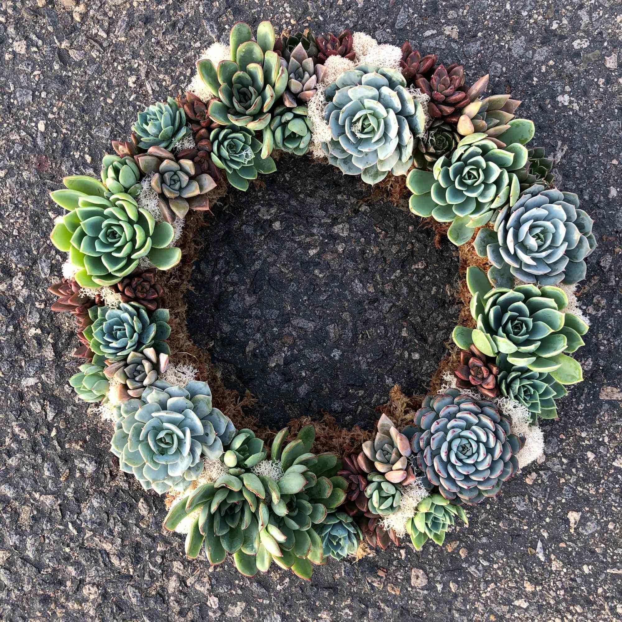 Succulent wreath arranged in a ring on pavement
