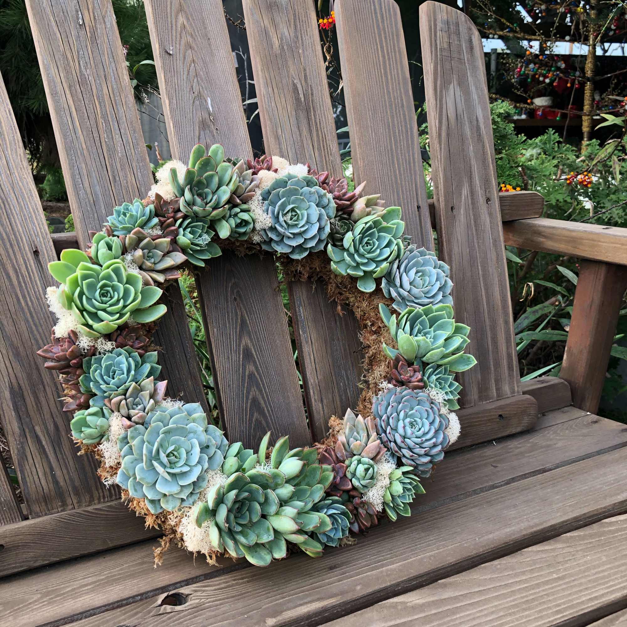 Succulent wreath with blue and green rosettes on a wooden chair