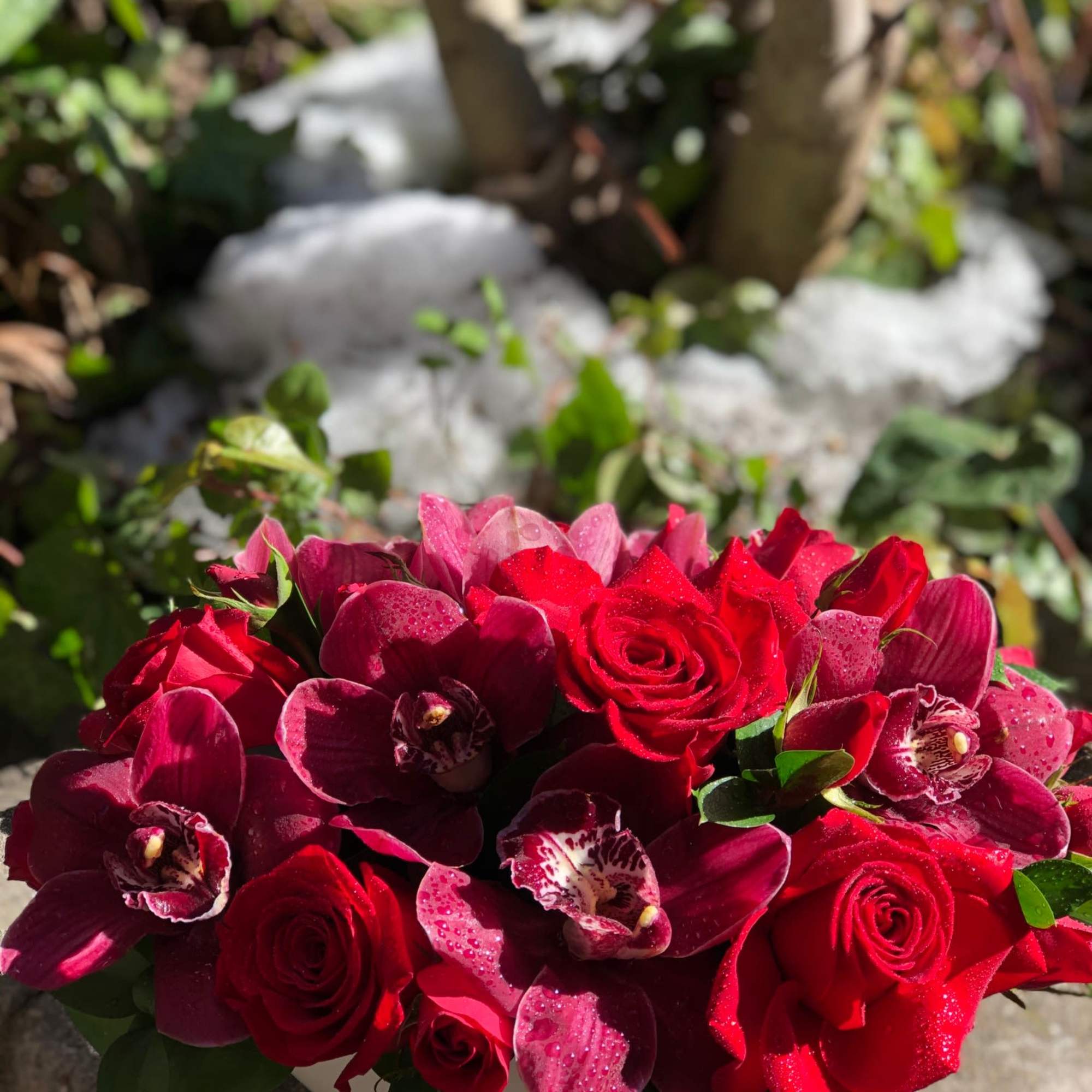 Red roses and burgundy orchids in a white bowl vase