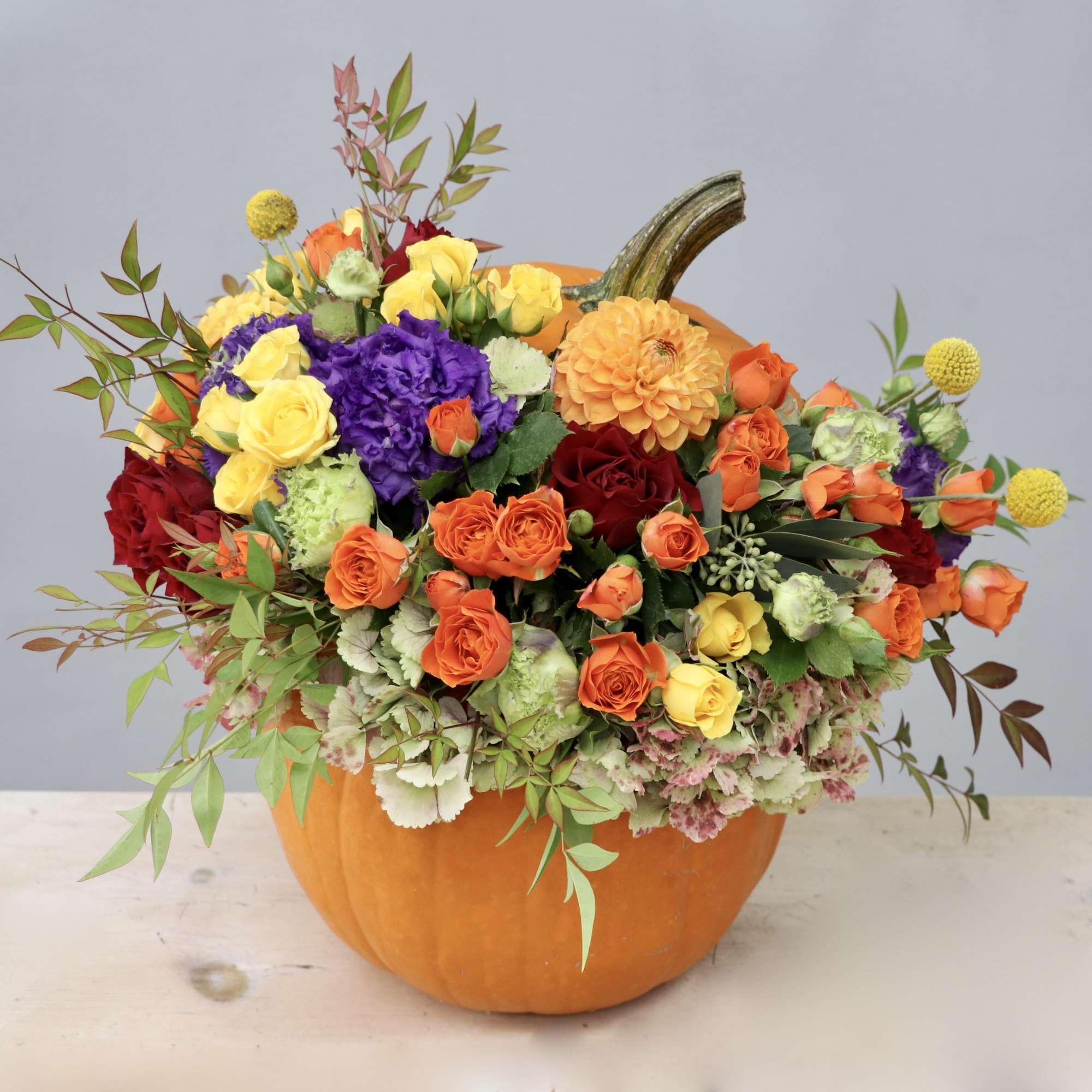 Bright mixed flower arrangement in a hollow pumpkin container with orange, yellow, red, and purple blooms