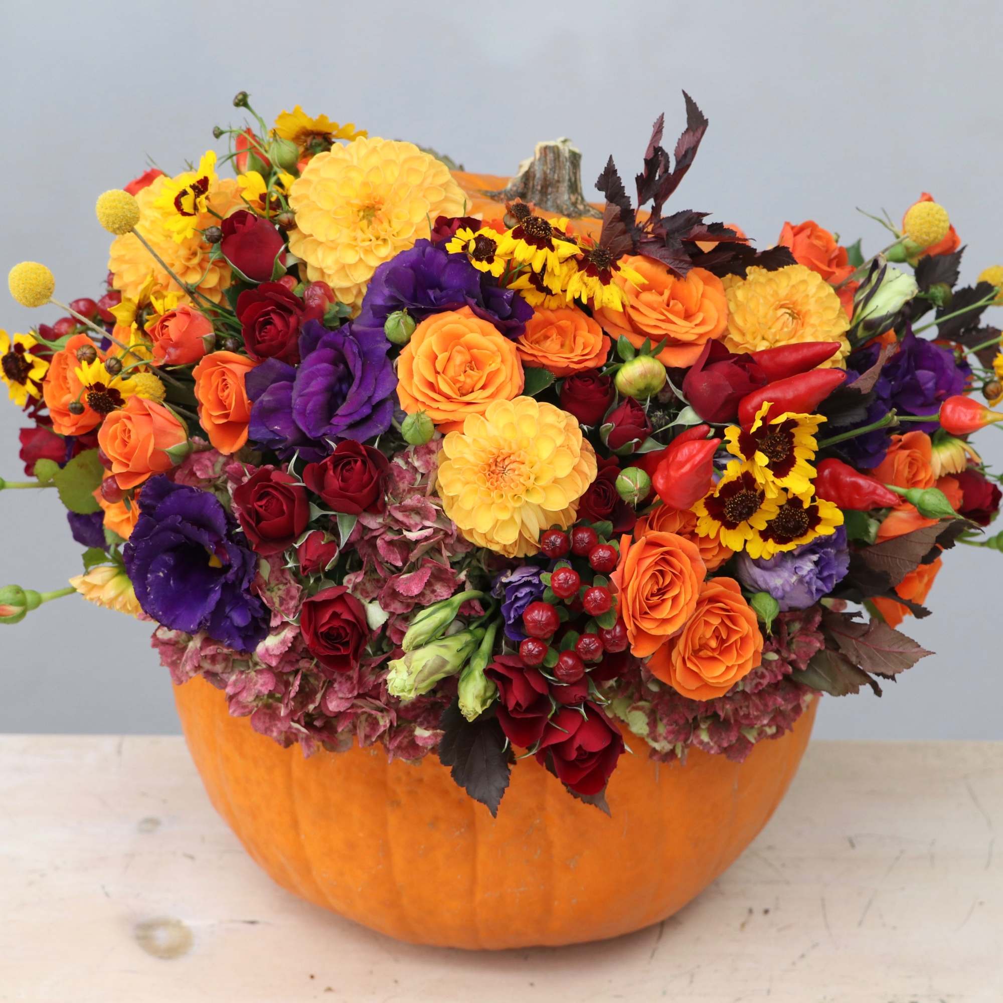 Bright fall flower arrangement in a hollow pumpkin with orange, yellow, red, and purple blooms