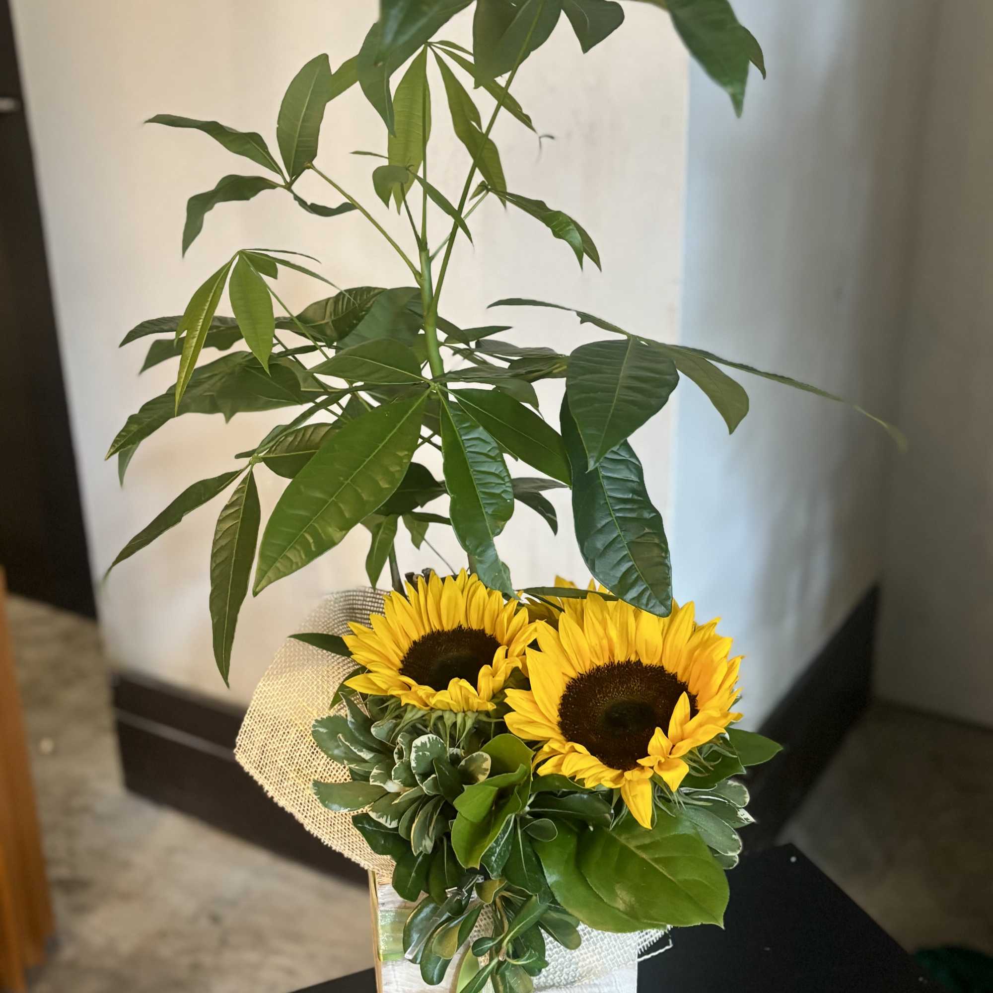 Sunflowers arranged with a tall leafy plant in a square vase