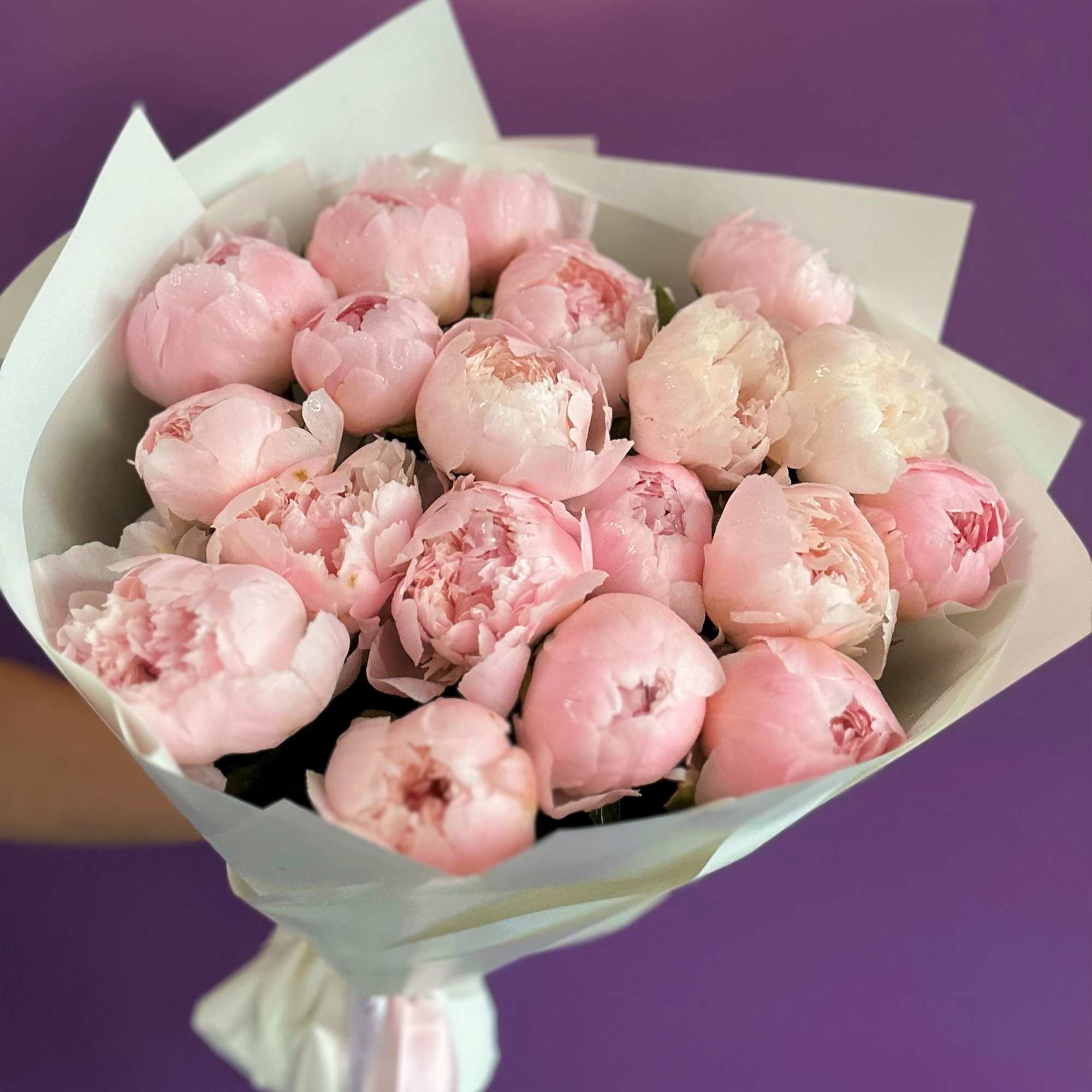This arrangement is for peony lovers who appreciate beauty and style
Available in