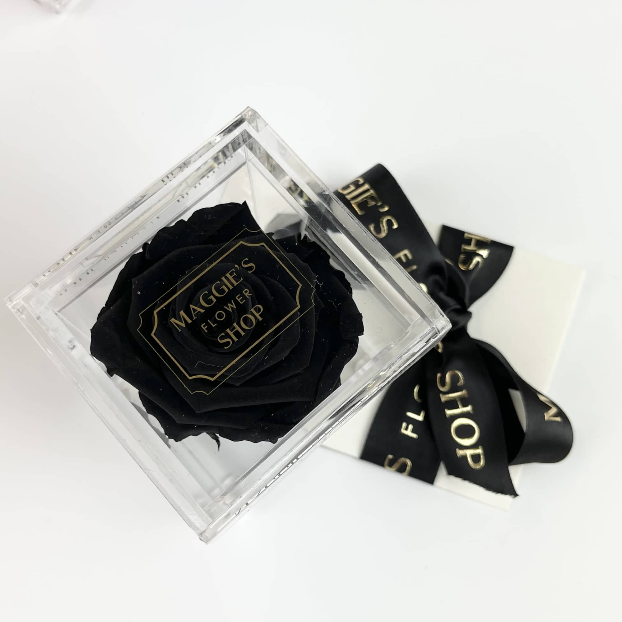 Black rose in a clear square box with a ribbon