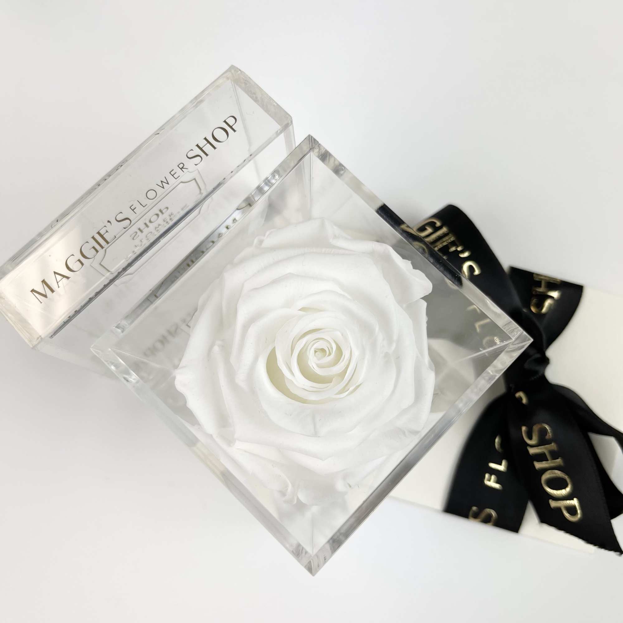Single white rose in a clear acrylic box with a black ribbon