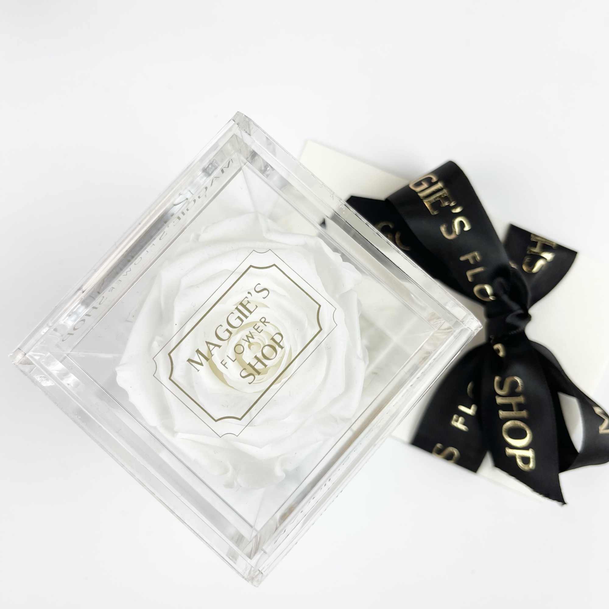 White rose in a clear square box with a black ribbon