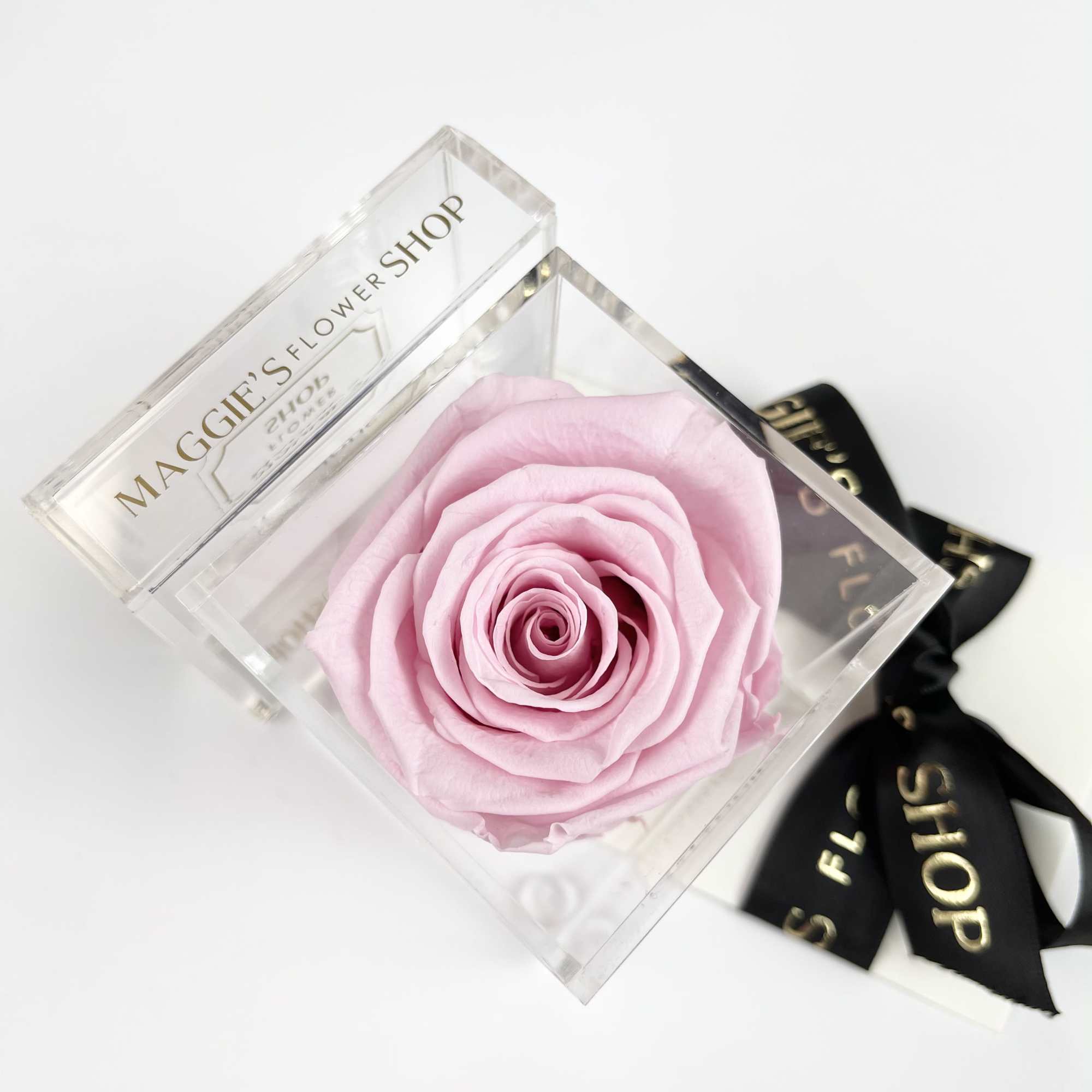 Single pale pink rose in a clear square box with a black ribbon