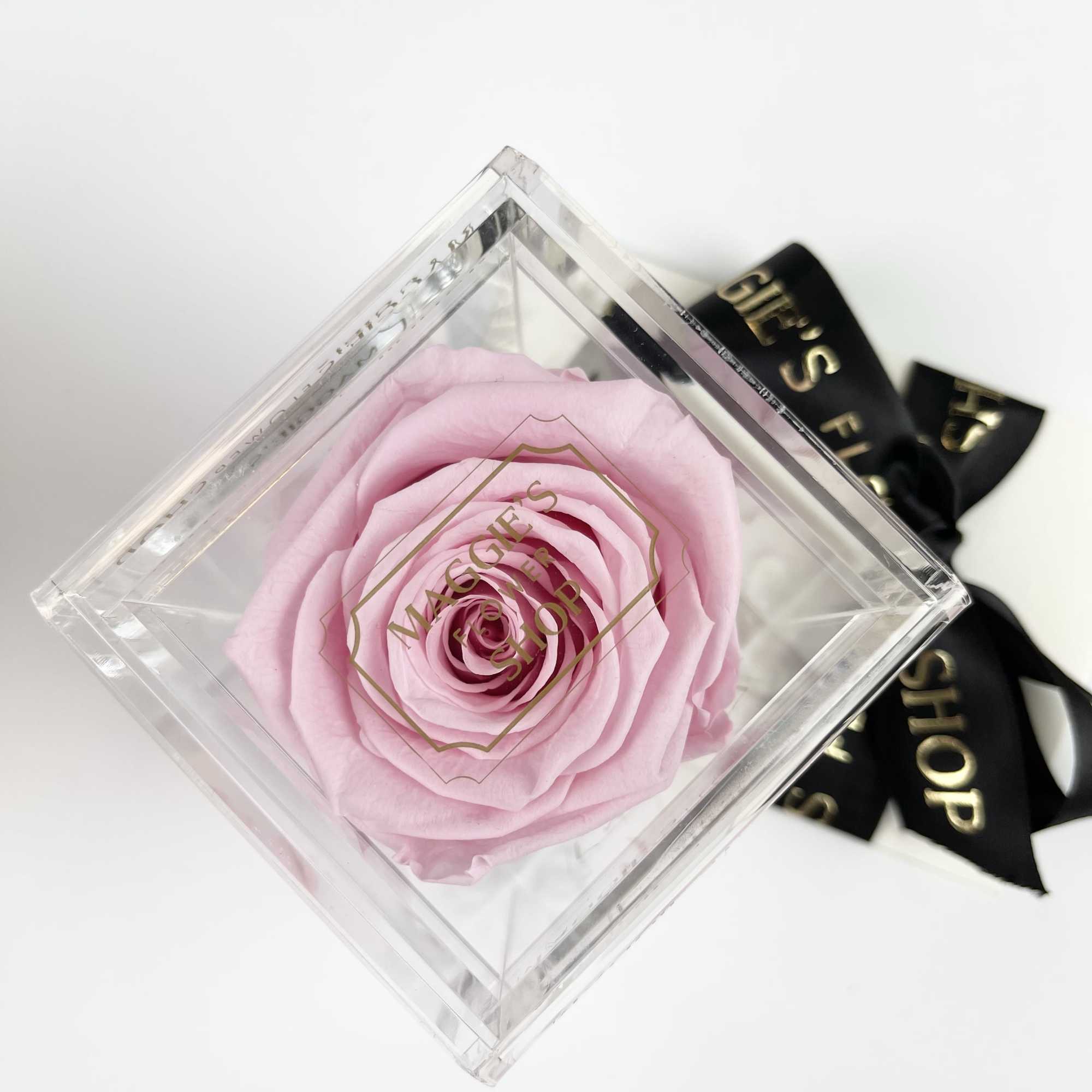 Single pink rose in a clear square box with a black ribbon