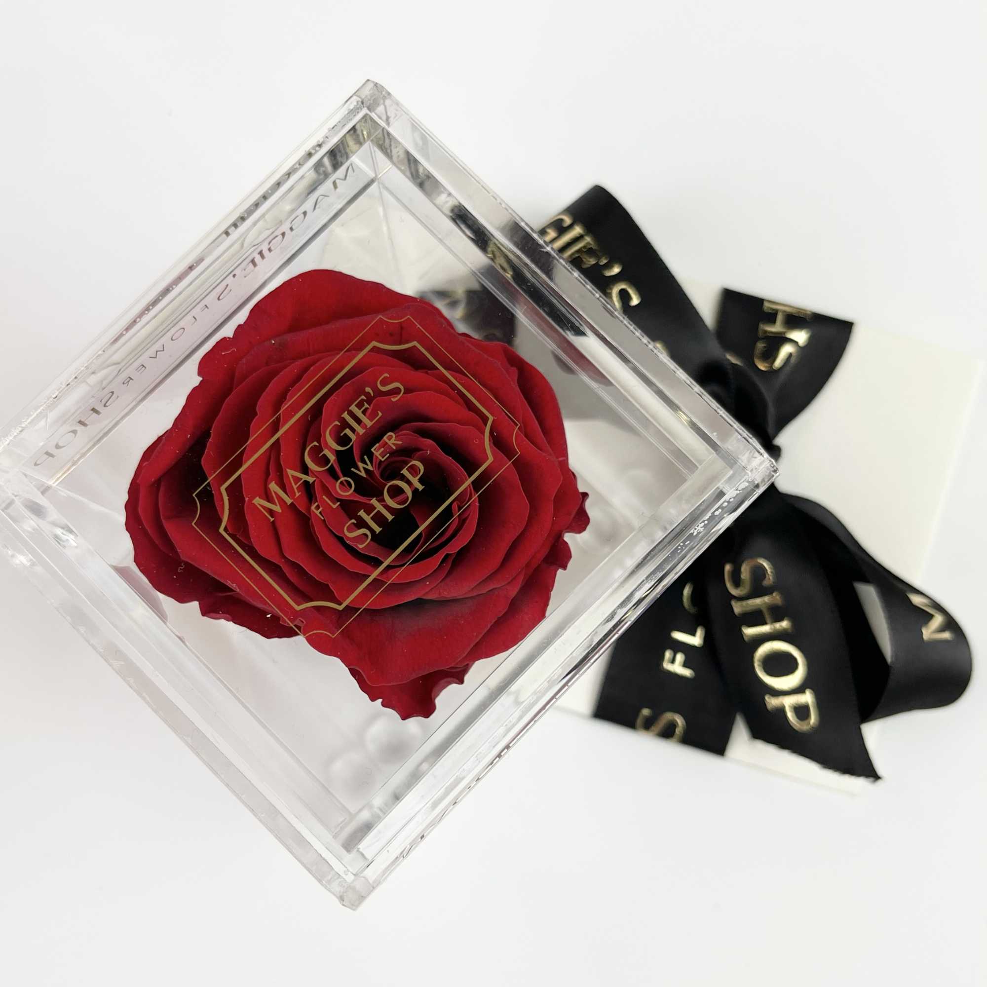 Single red rose in a clear square box with a black ribbon, photo 2 of 3
