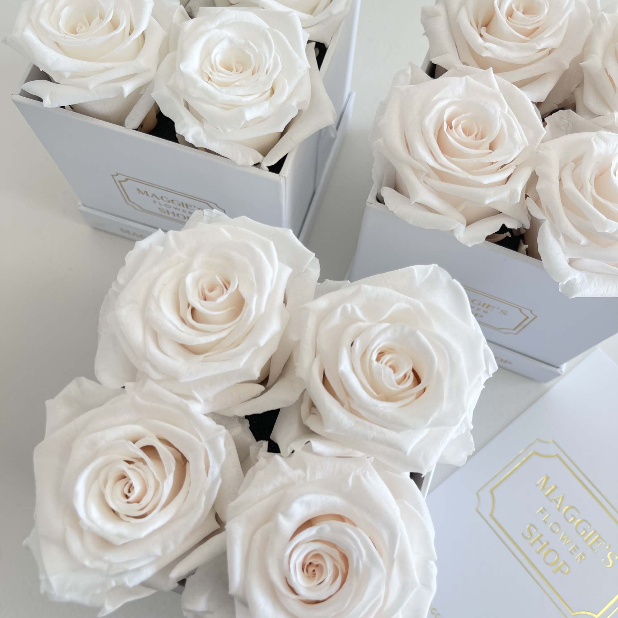 Petite Square Eternity Rose Box 
4 Eternity Roses 

*Eternity roses are real
