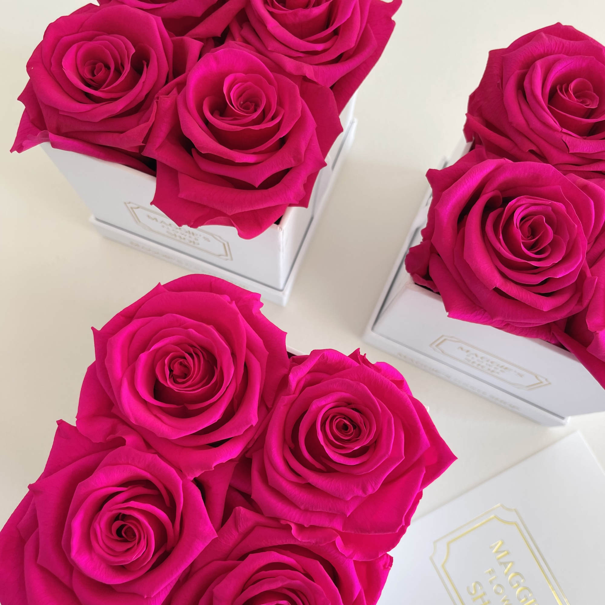 Bright pink roses arranged in white square boxes
