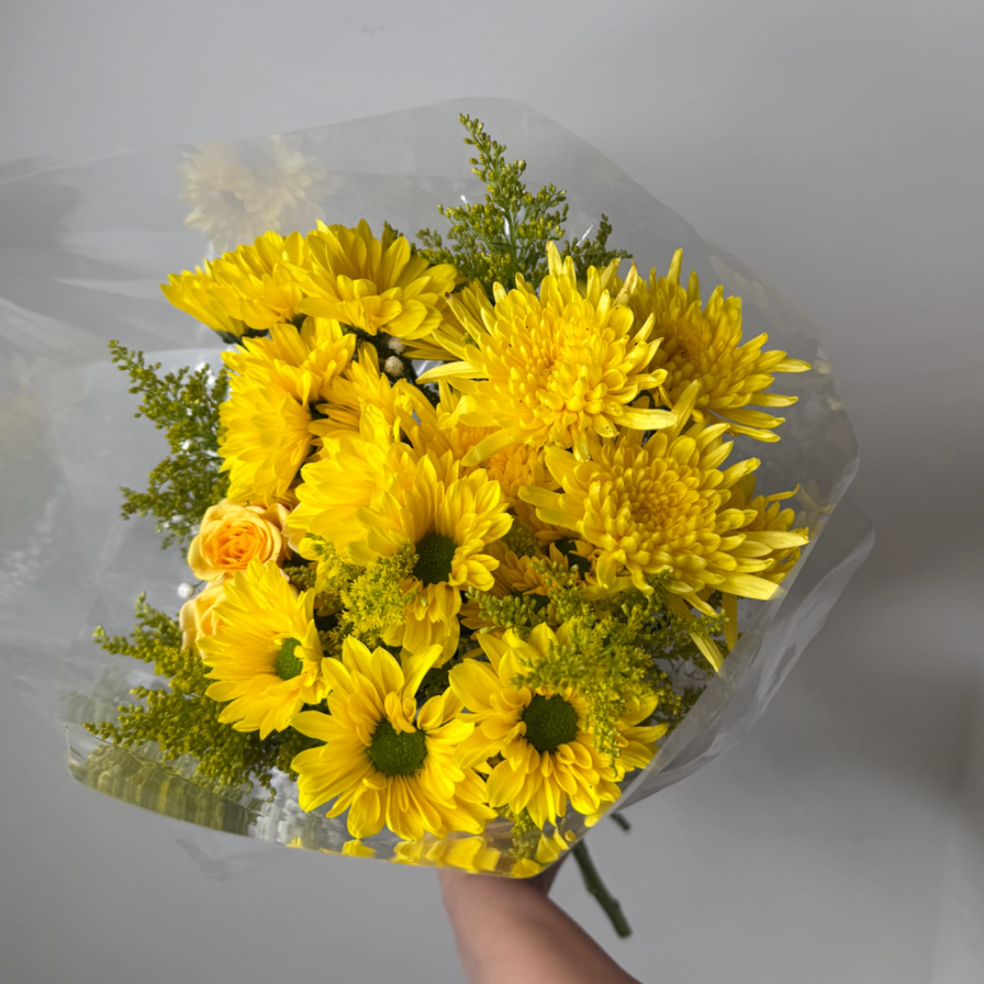 Yellow chrysanthemum bouquet wrapped in clear plastic