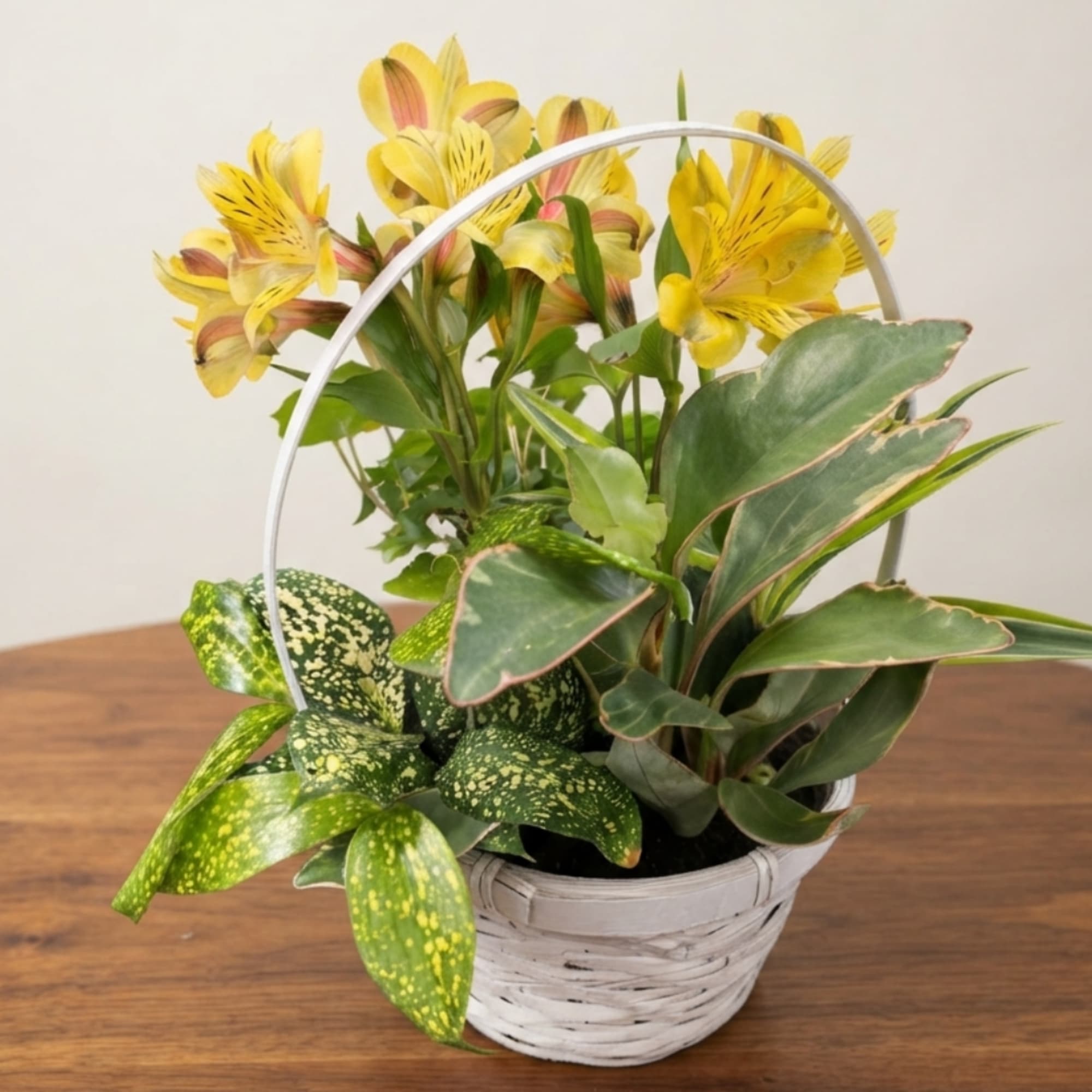 Yellow alstroemeria in a white basket with assorted green plants