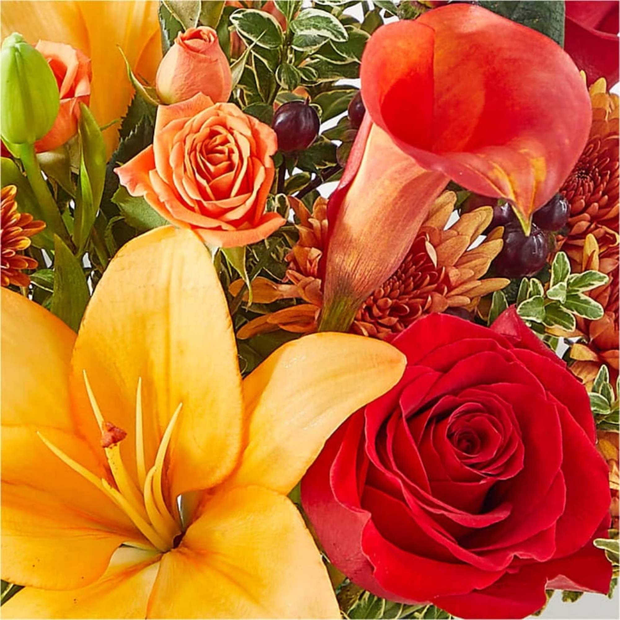 Bright, warm color and a full, rounded silhouette make this flower arrangement, photo 4 of 4