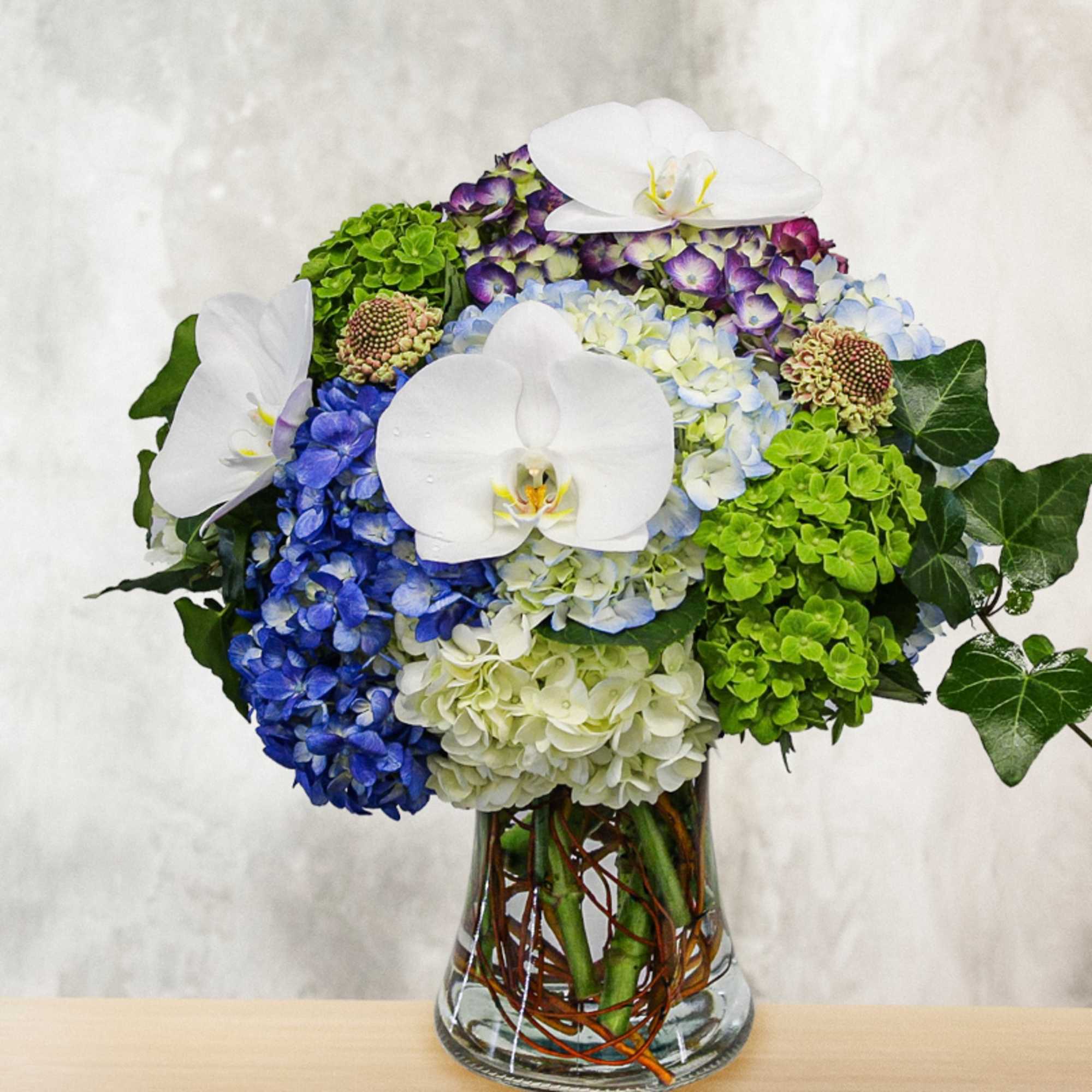 Blue and green hydrangea arrangement with white orchids in a glass vase