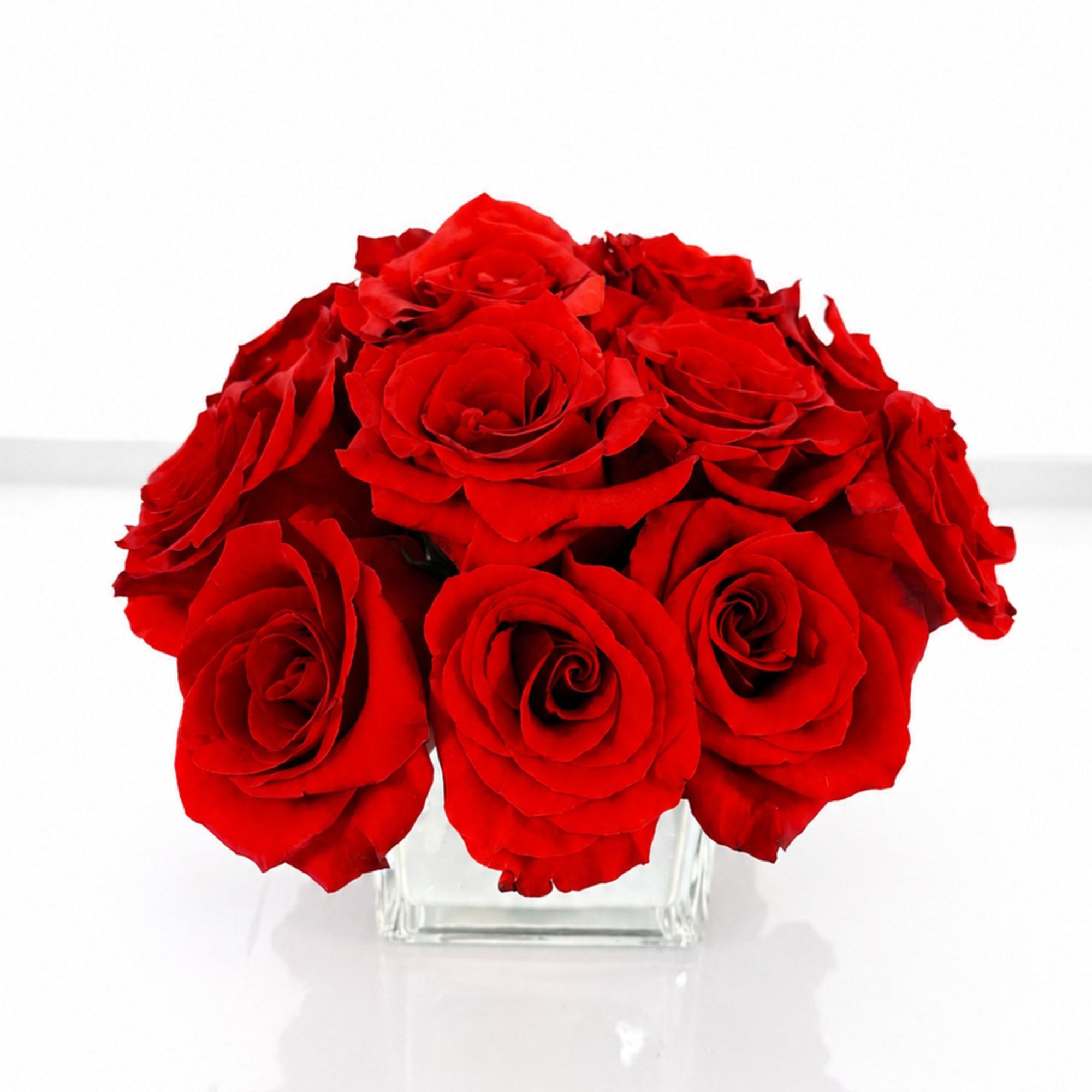 A compact cluster of vivid red roses arranged in a clear square