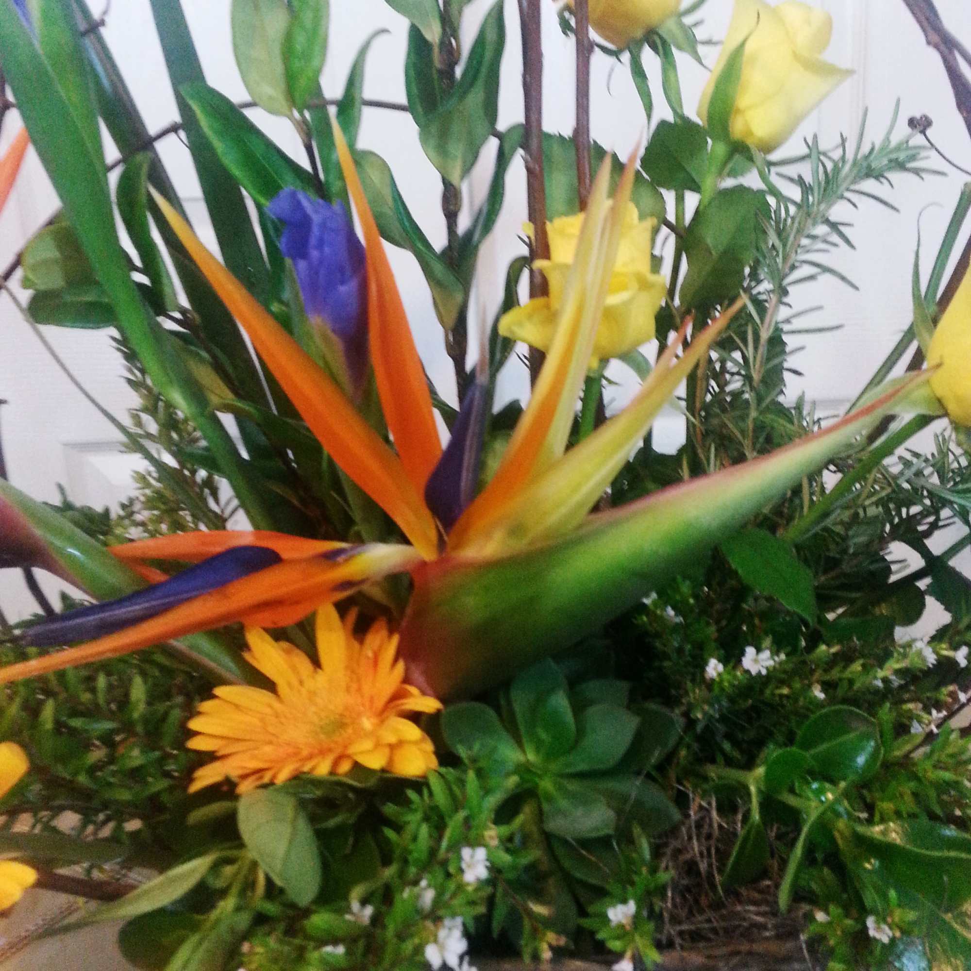 Tropical floral arrangement with bird of paradise and yellow roses