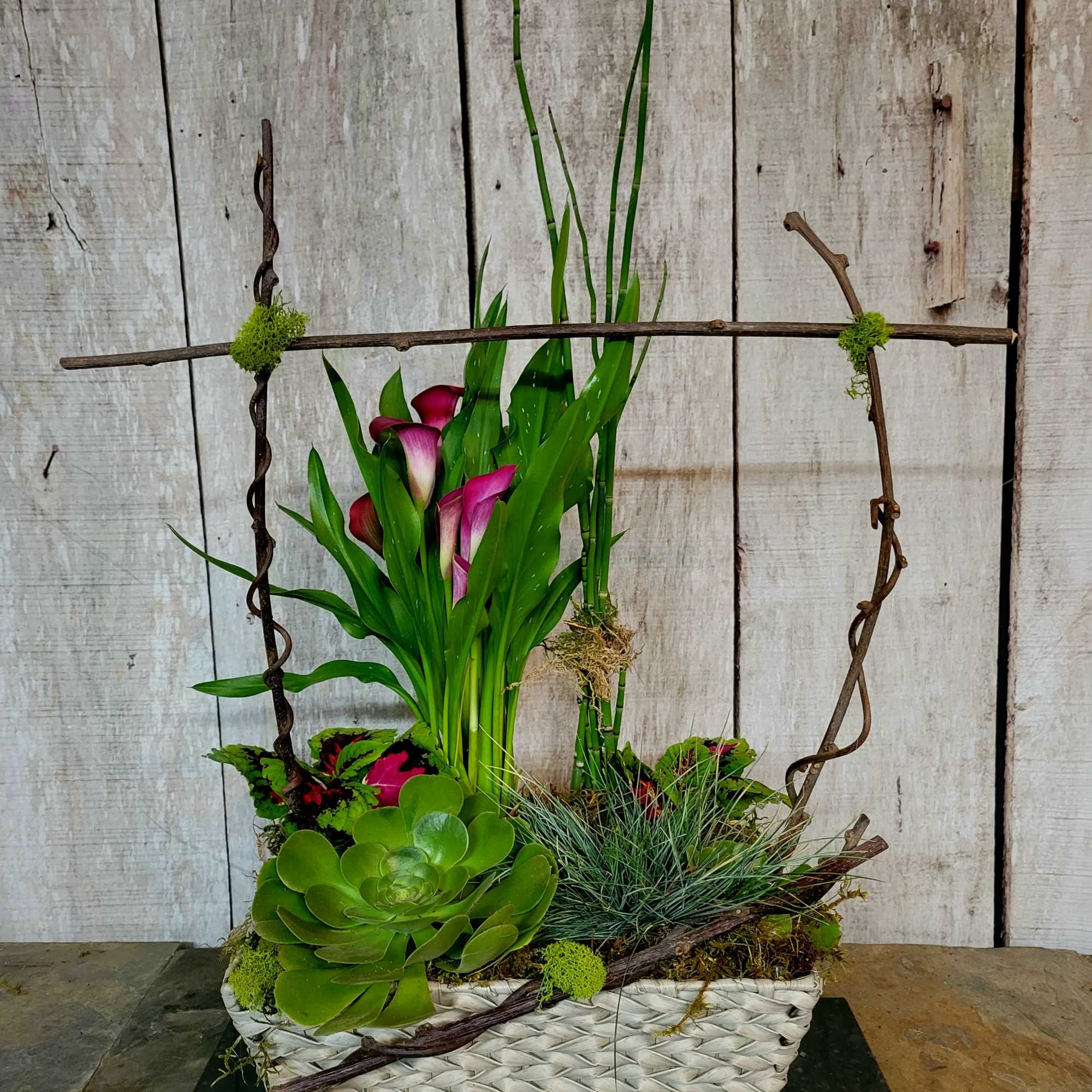 Basket arrangement with purple calla lilies, succulents, and tall grass-like stems