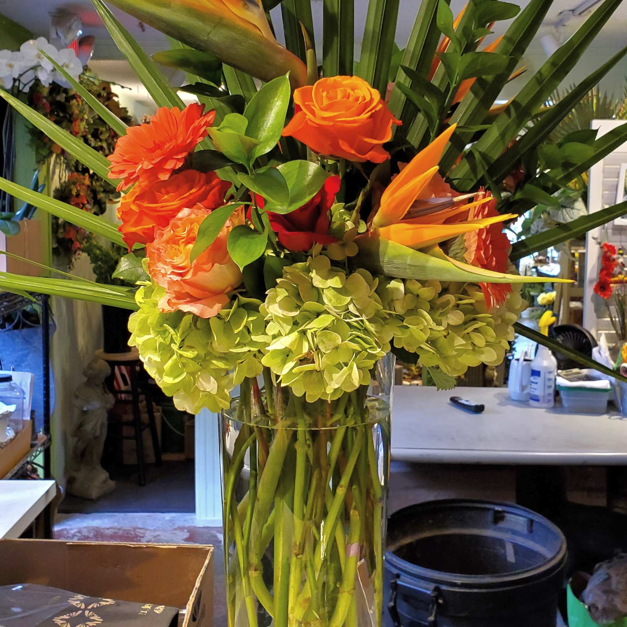 Tall tropical arrangement with orange birds of paradise, roses and green hydrangeas in a clear glass vase