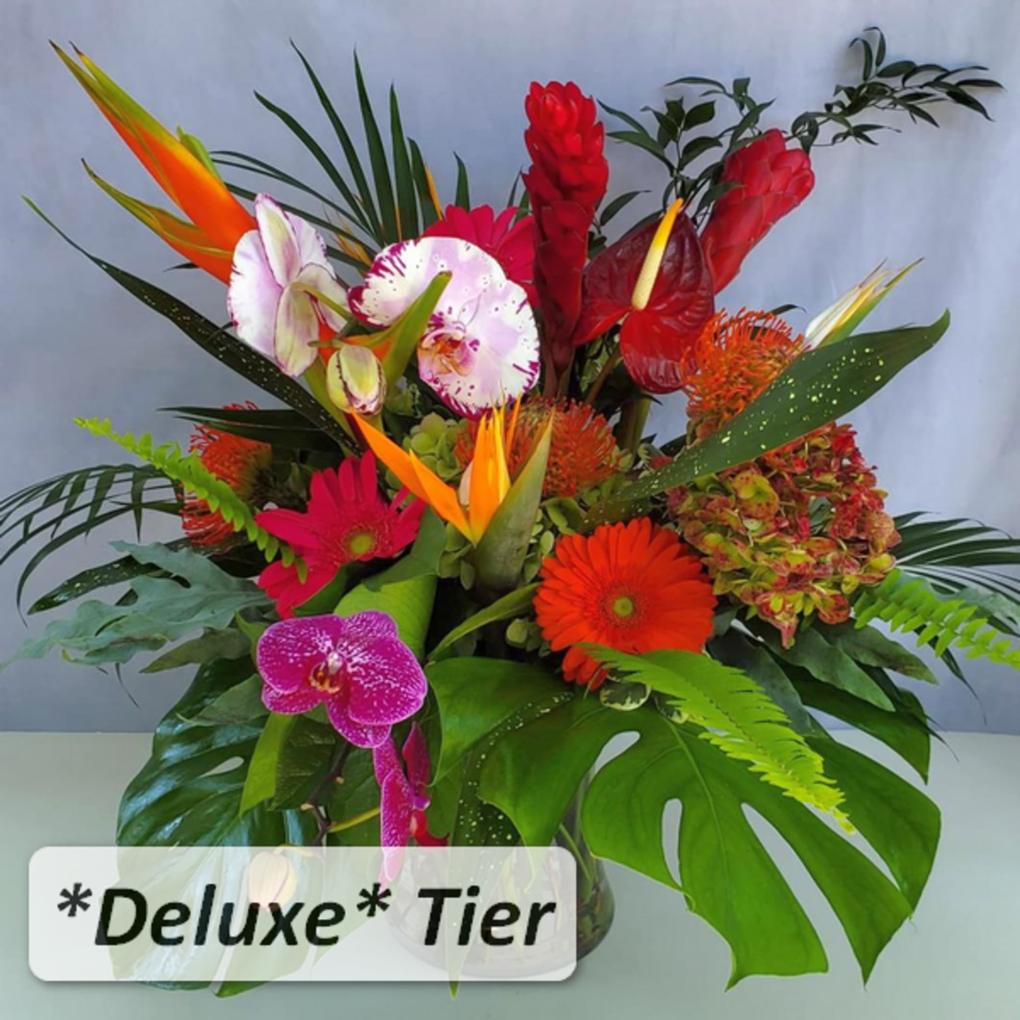 Tall tropical arrangement with bright orchids, gerbera daisies, protea, and large glossy leaves in a glass vase
