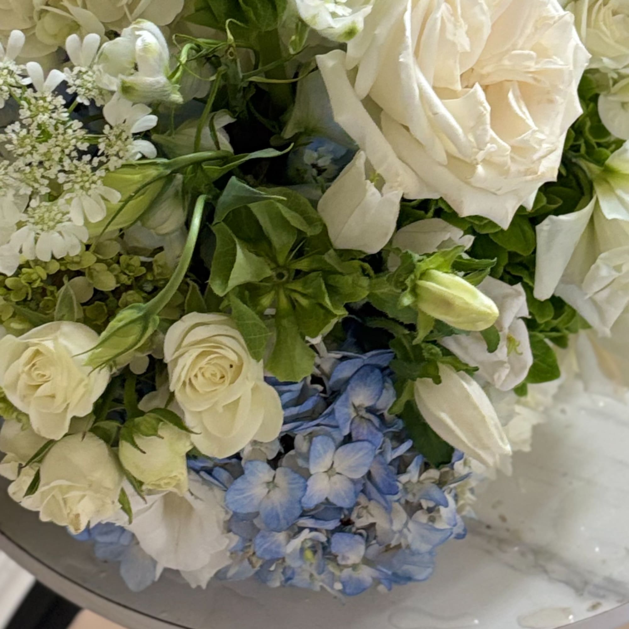 White roses and blue hydrangeas in a close-up bouquet