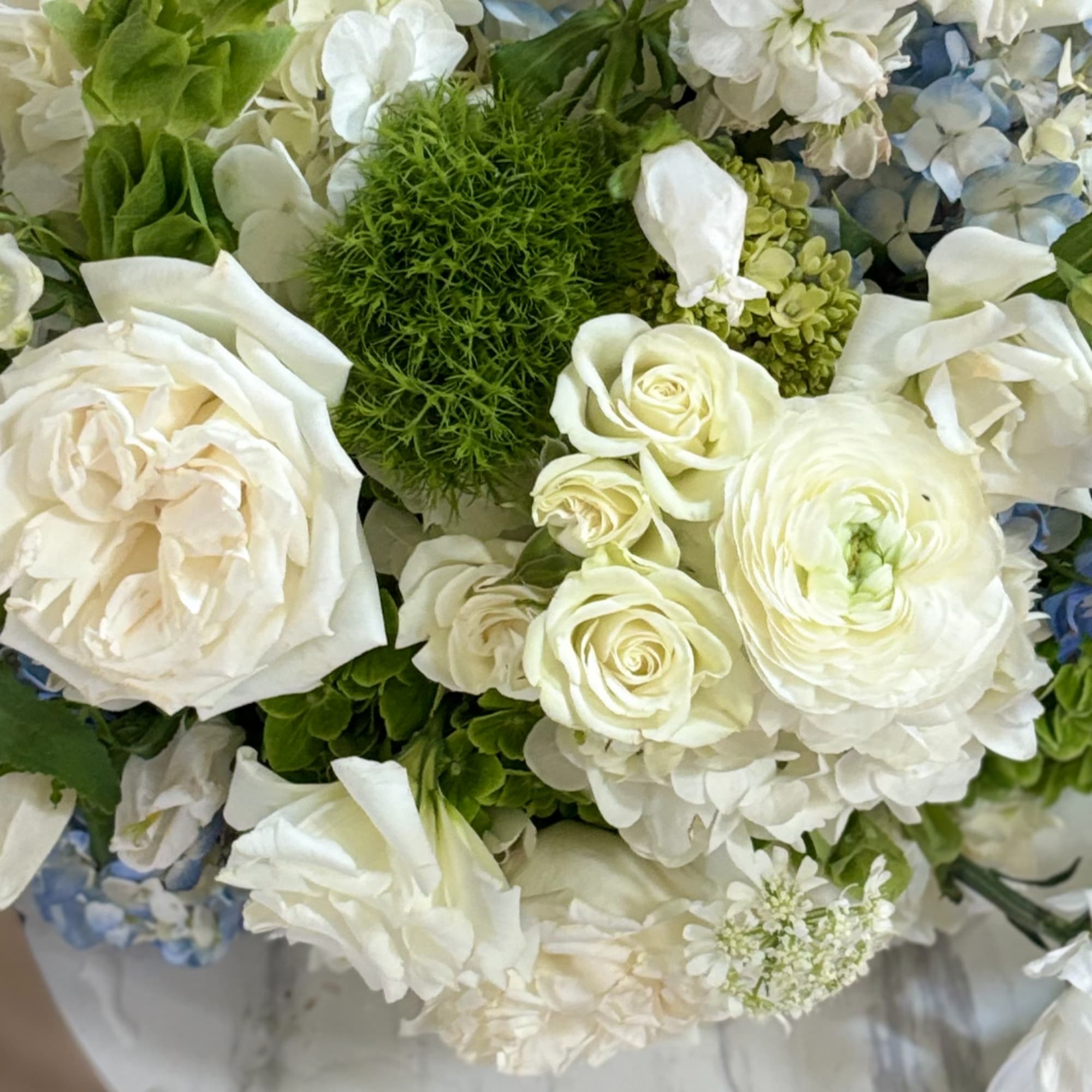 White roses and ranunculus with blue hydrangea in a bouquet