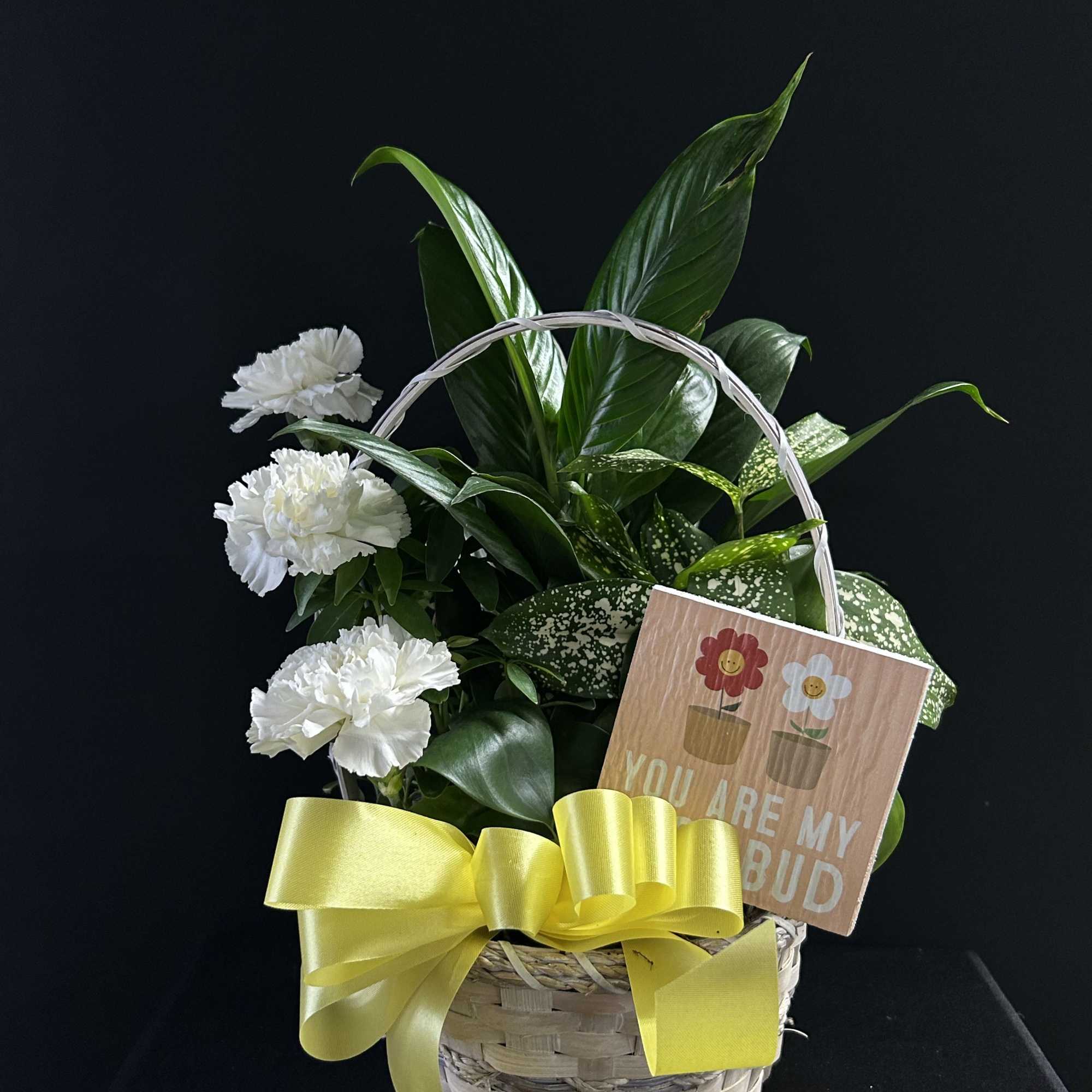 White carnations in a wicker basket with a yellow bow and a small card