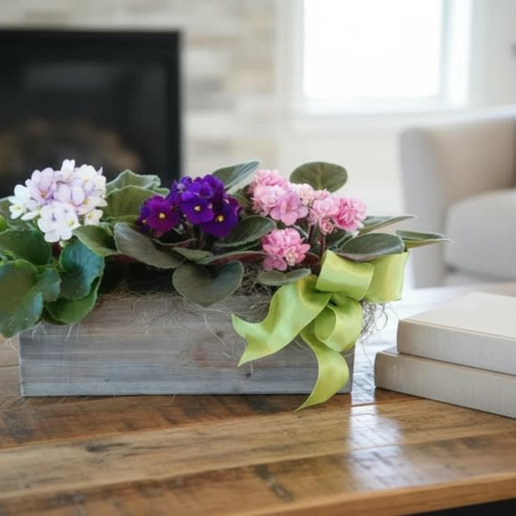 The African Violets trio with blooms in shades of pink and purple