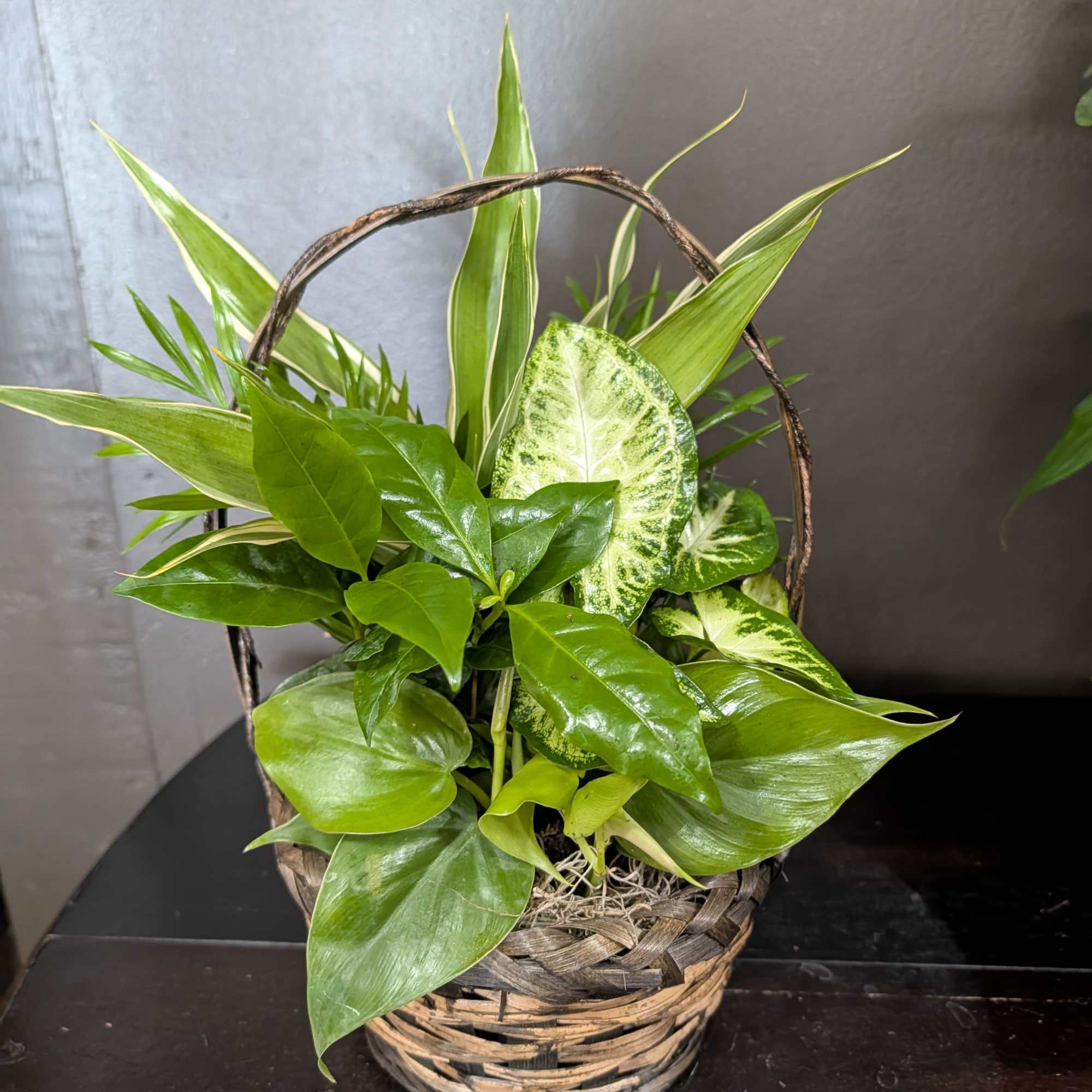 An assortment of multiple plant varieties in a basket or tin.