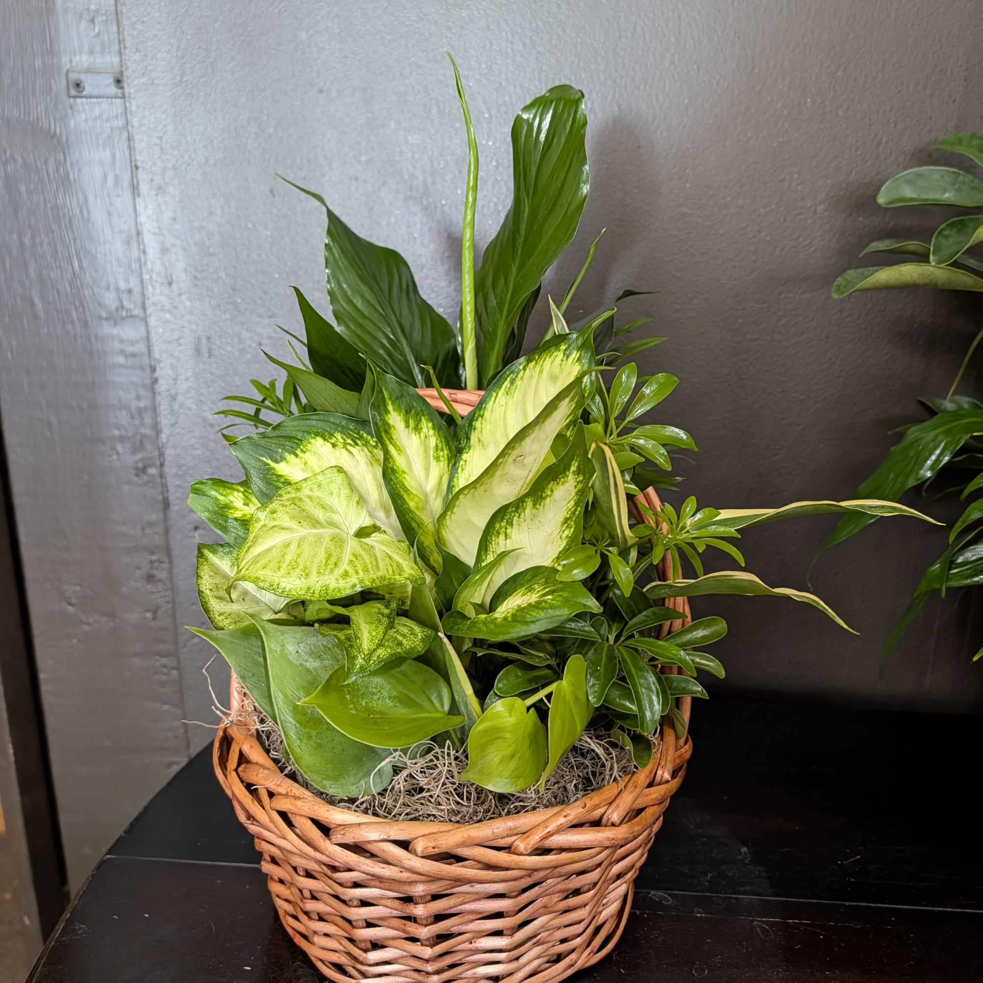 An assortment of multiple plant varieties in a basket or tin.