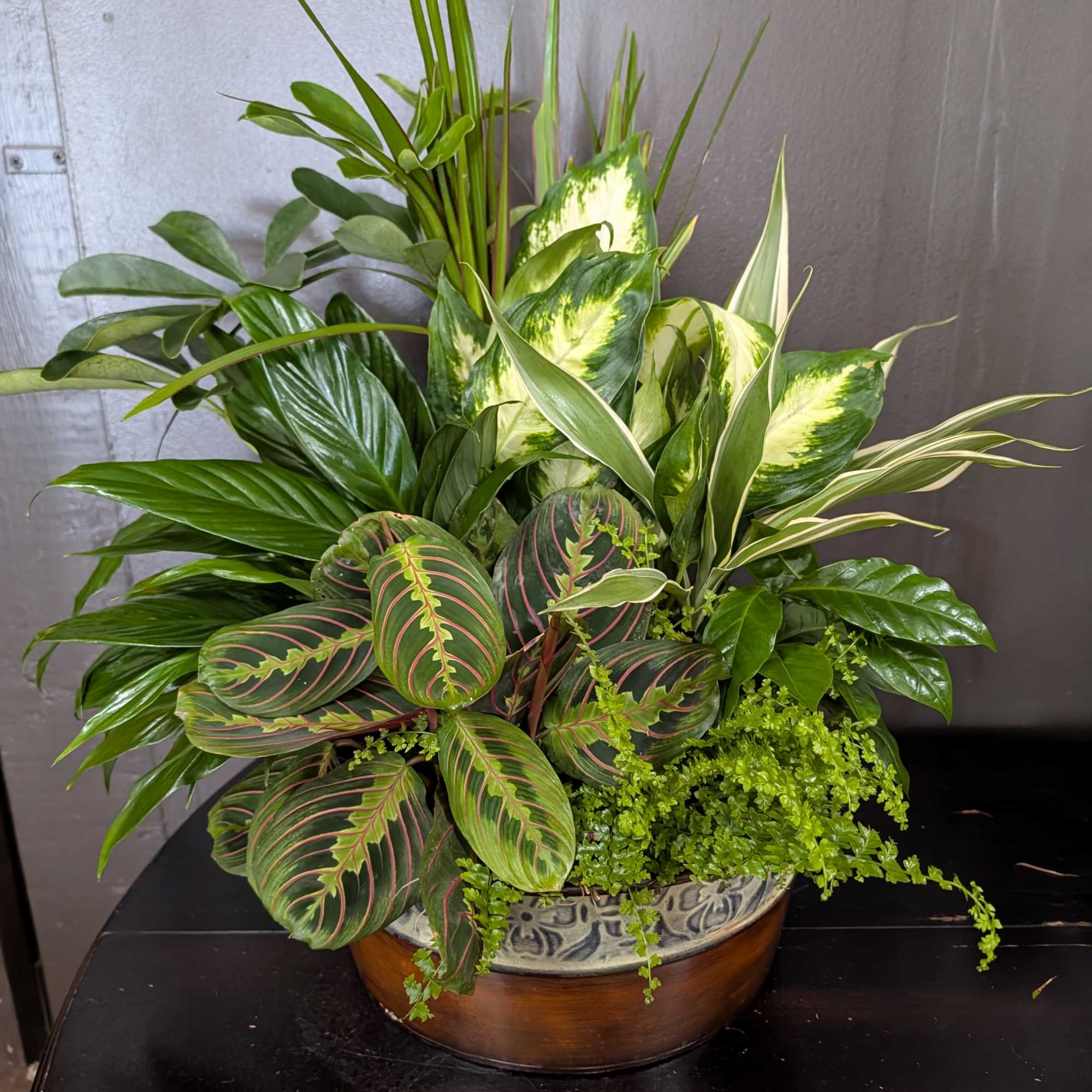 An assortment of multiple plant varieties in a basket or tin.