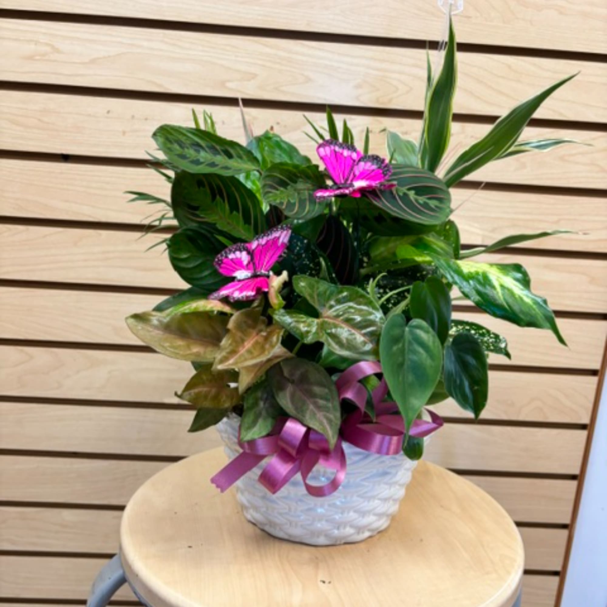 Potted foliage arrangement with two pink butterfly decorations in a white basket planter