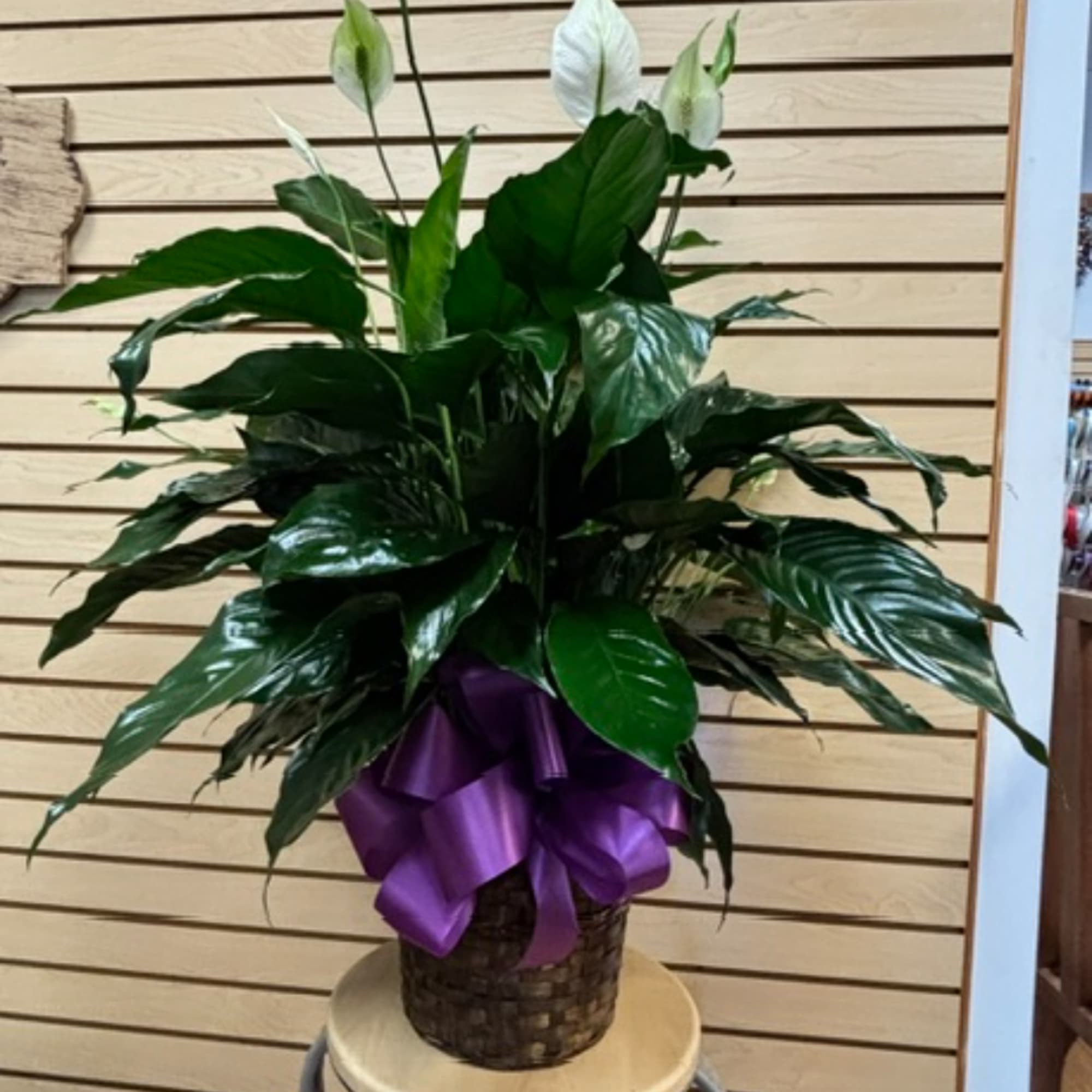 White peace lilies in a woven basket with a purple ribbon