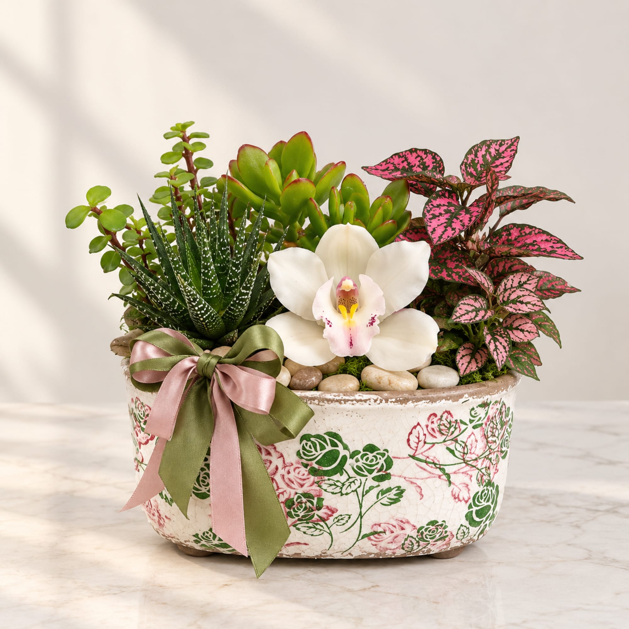 Succulent planter with a white orchid in a decorative pot