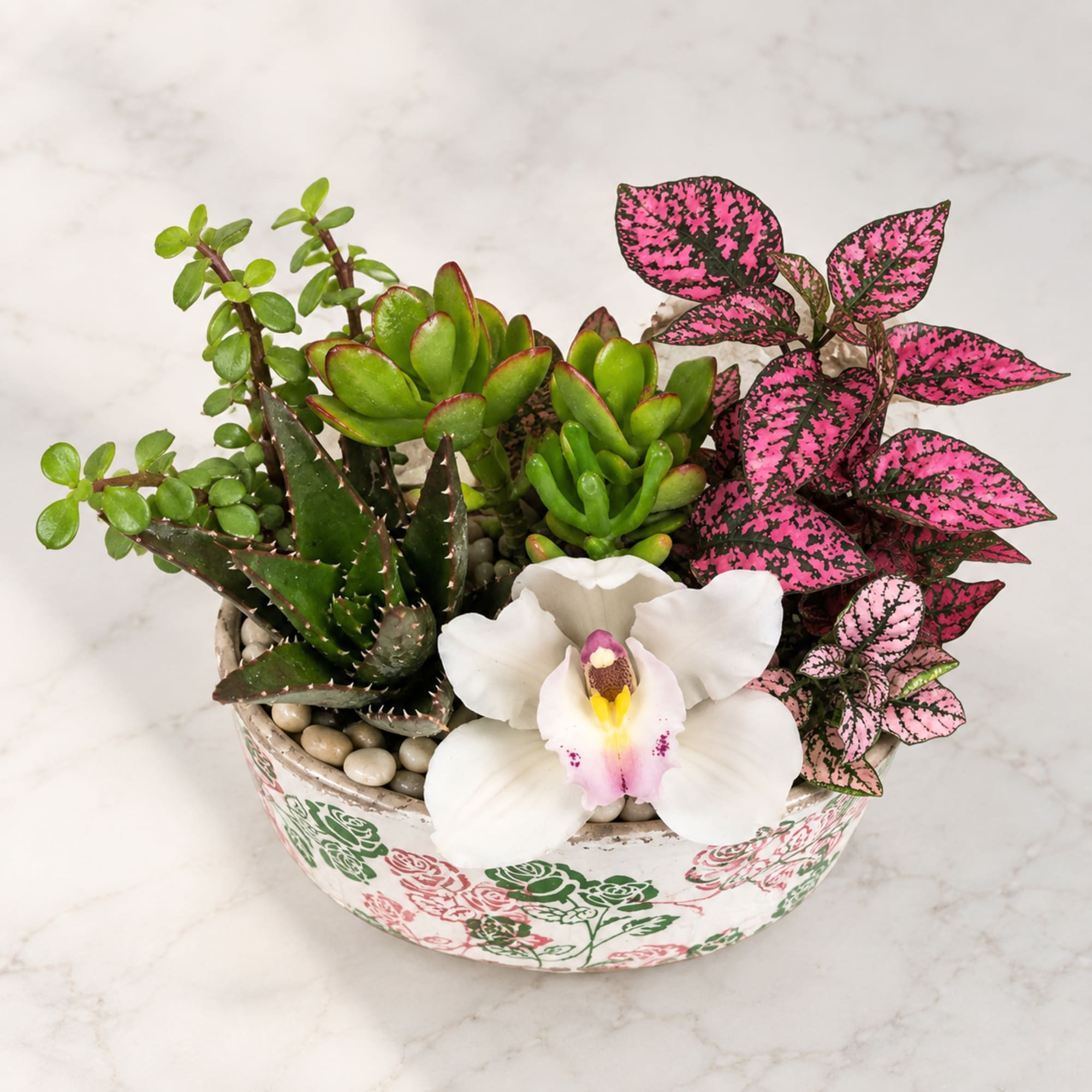 Succulent planter with a white orchid in a floral ceramic bowl