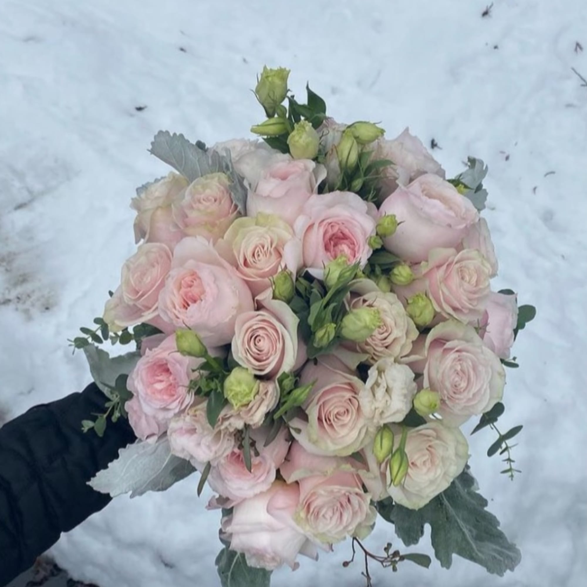 Handheld bouquet of pale pink roses with soft gray foliage