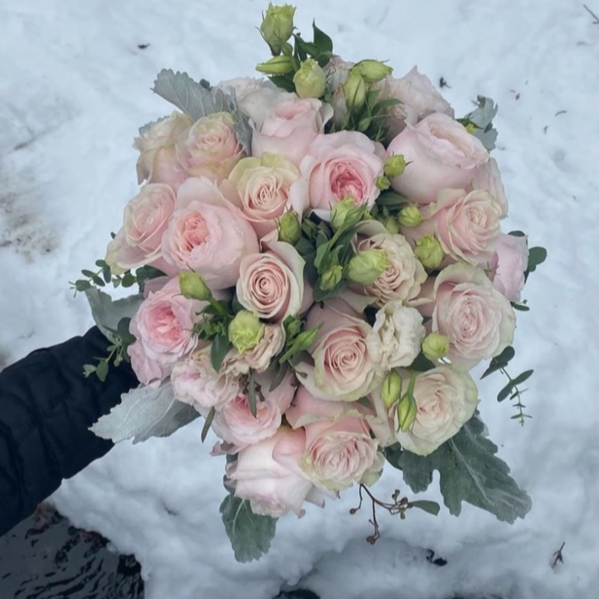 Handheld bouquet of pale pink roses with soft greenery