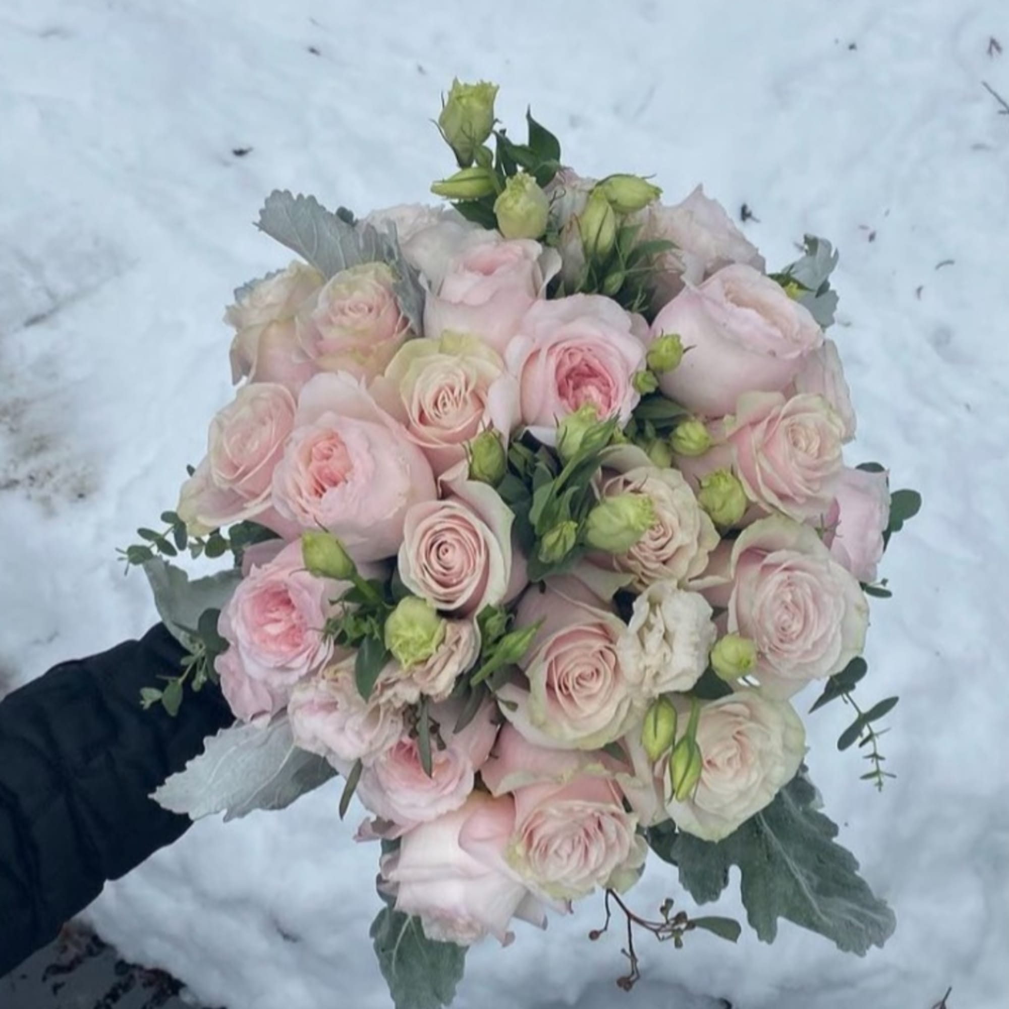 Handheld bouquet of pale pink roses with soft greenery.