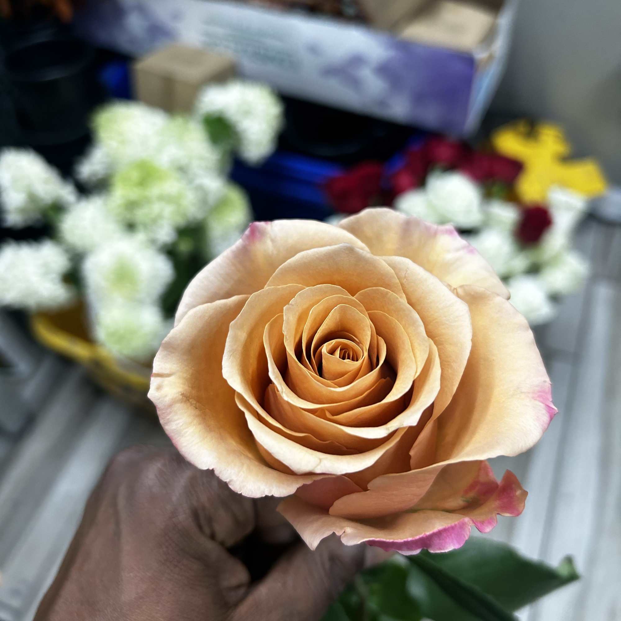 We make roses all colors with glitter, photo 12 of 17