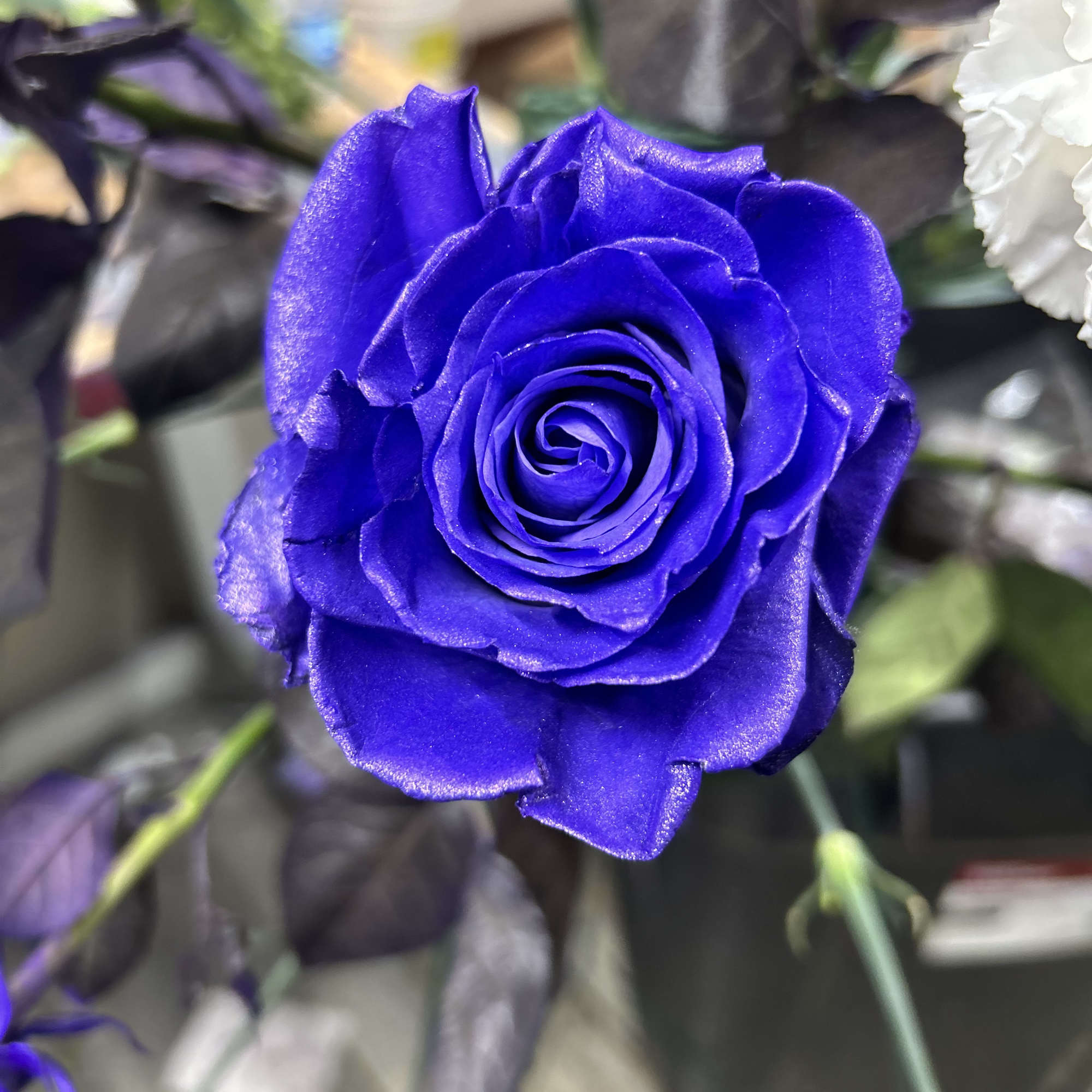 We make roses all colors with glitter, photo 2 of 17