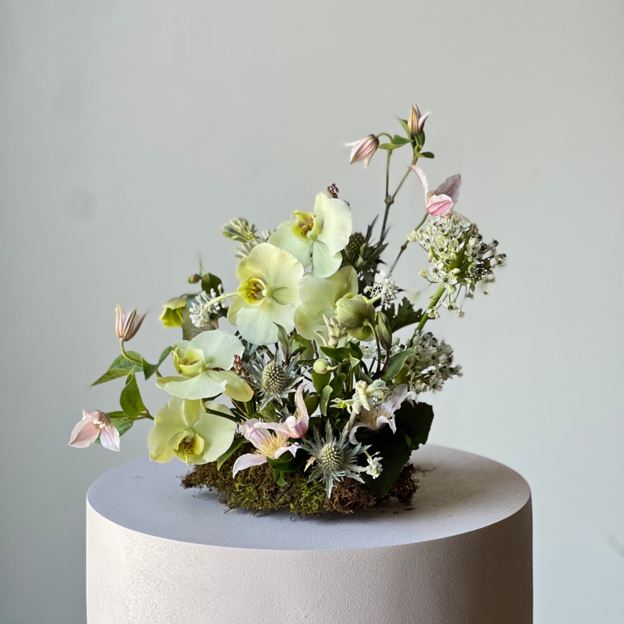 Pale green orchid arrangement with small pink flowers on a moss base