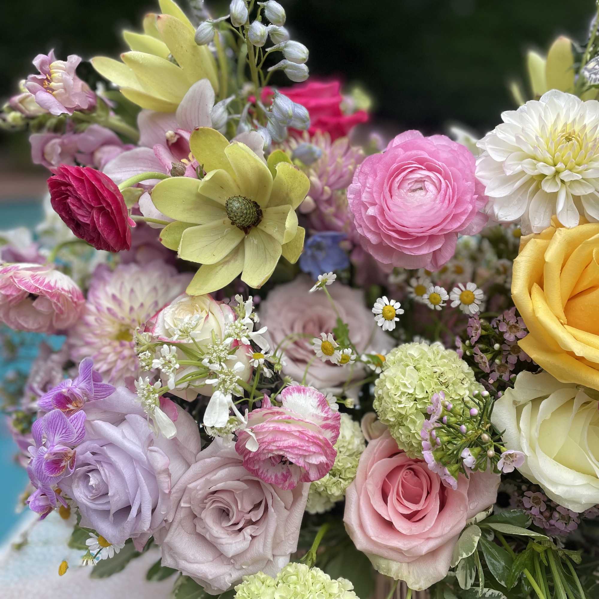 Colorful mixed bouquet with roses, ranunculus, and small white filler flowers