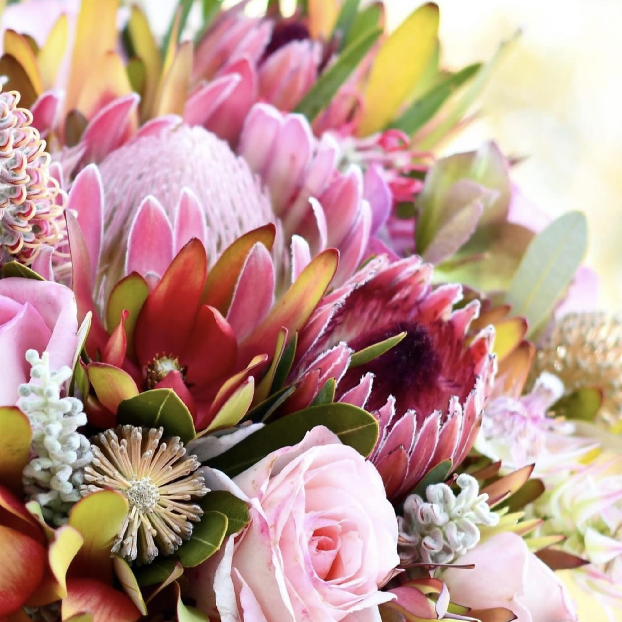 Pink and red protea bouquet with a pale pink rose