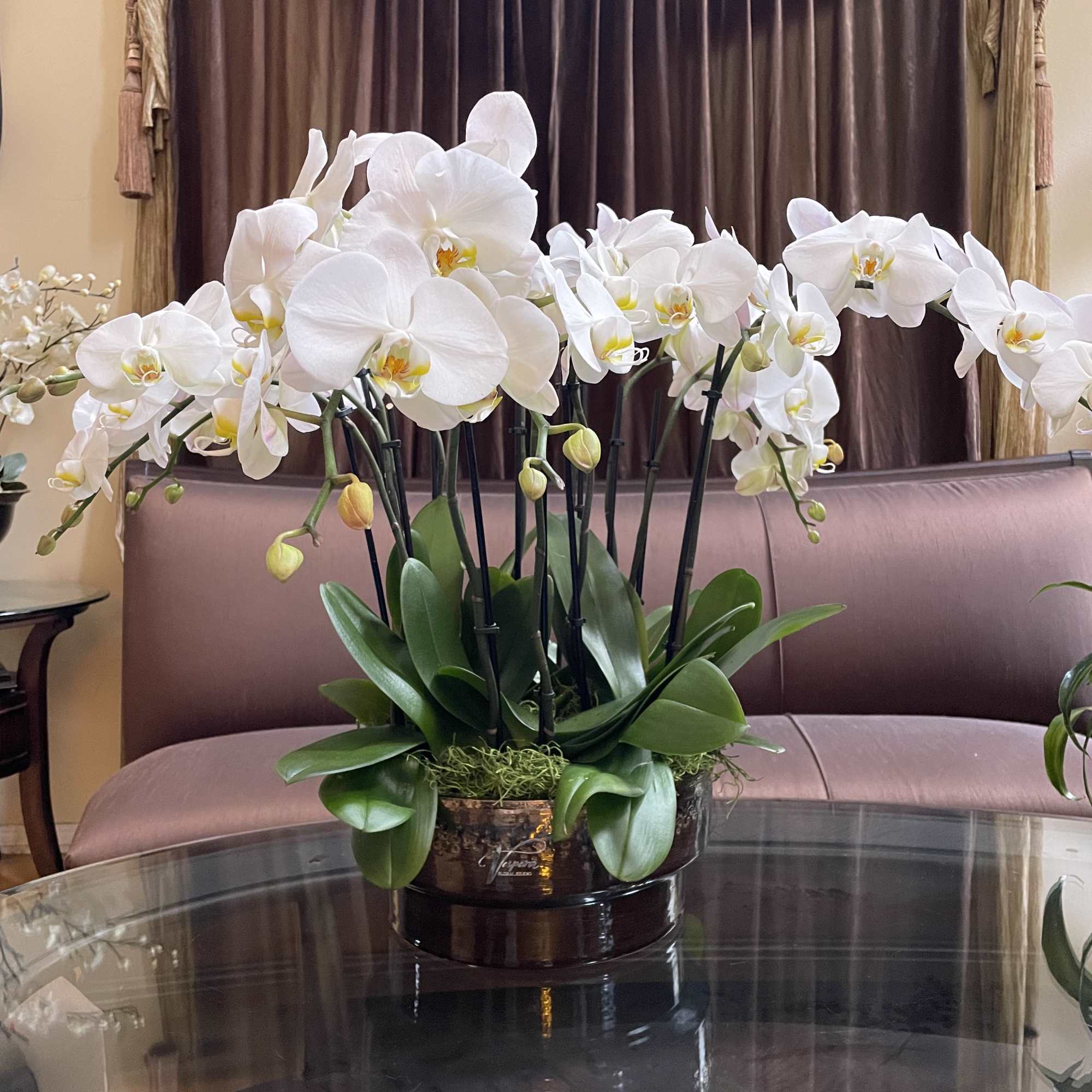 White orchid arrangement in a dark round container on a glass table