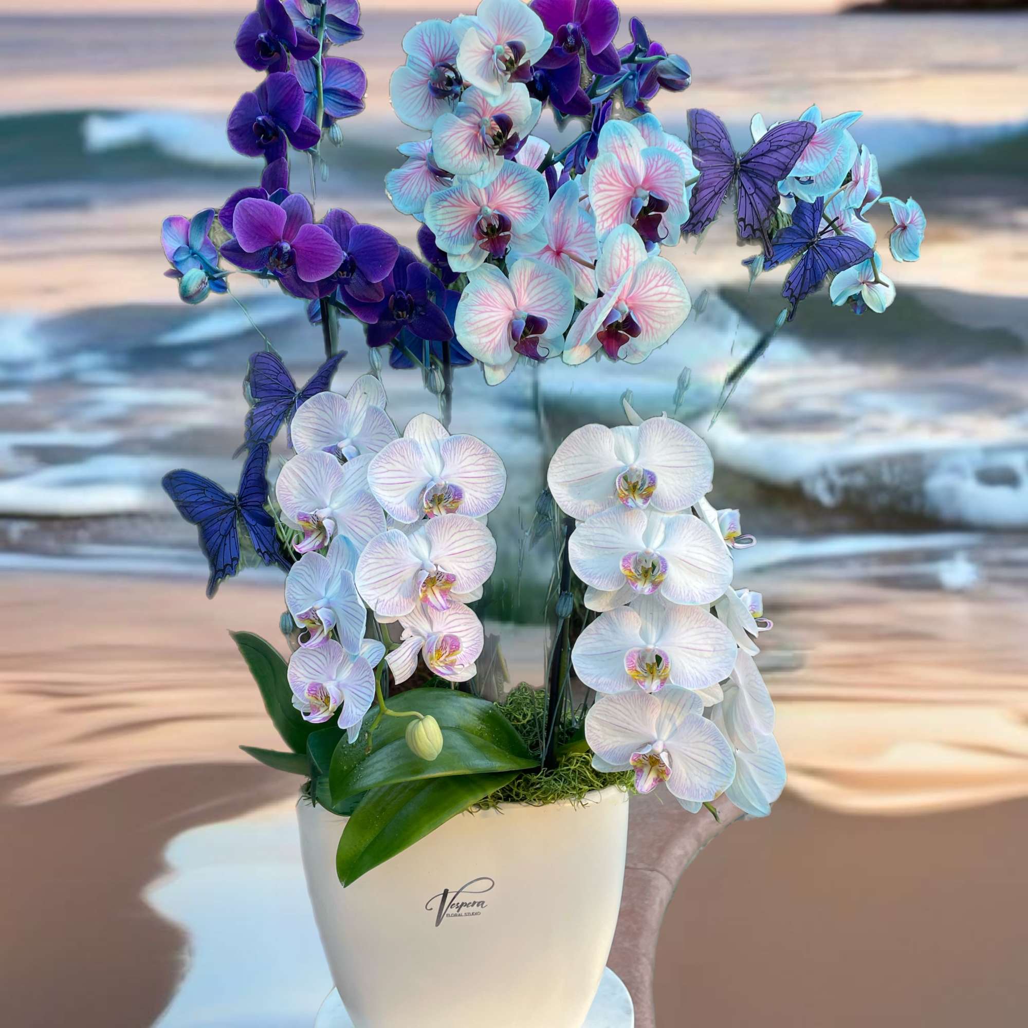 Potted orchids in white, purple, and blue with butterfly accents