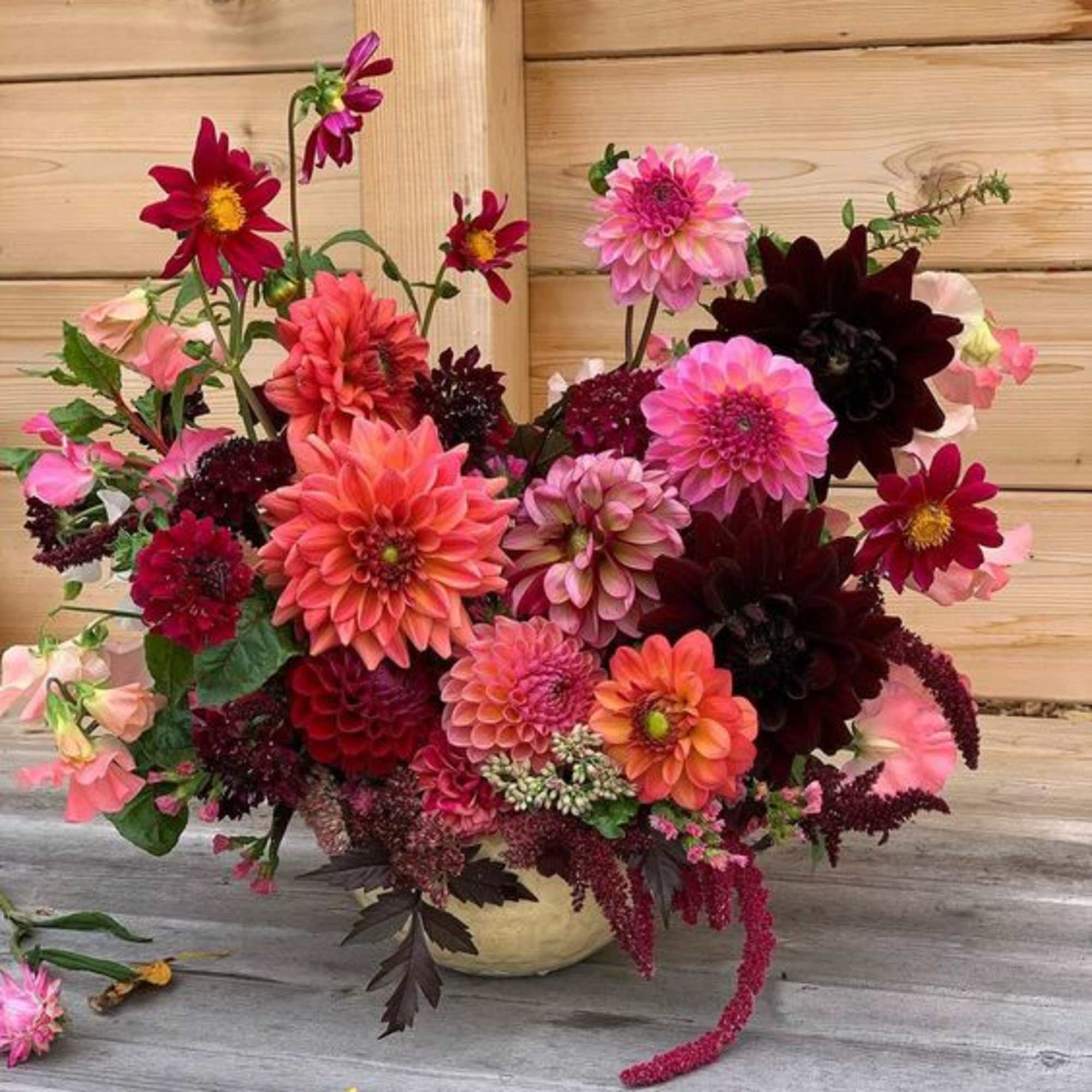 Mixed pink, coral, and burgundy dahlia bouquet in a low vase