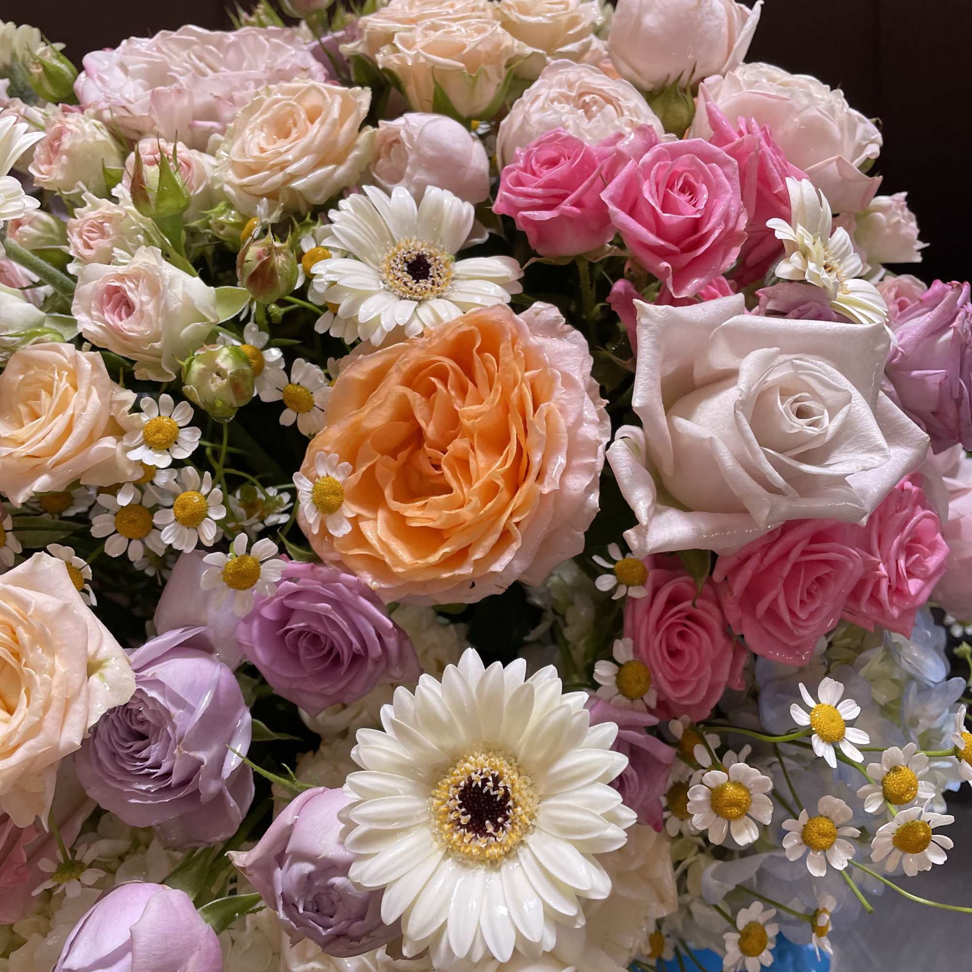 Bouquet of pastel roses and white daisies with a few orange blooms